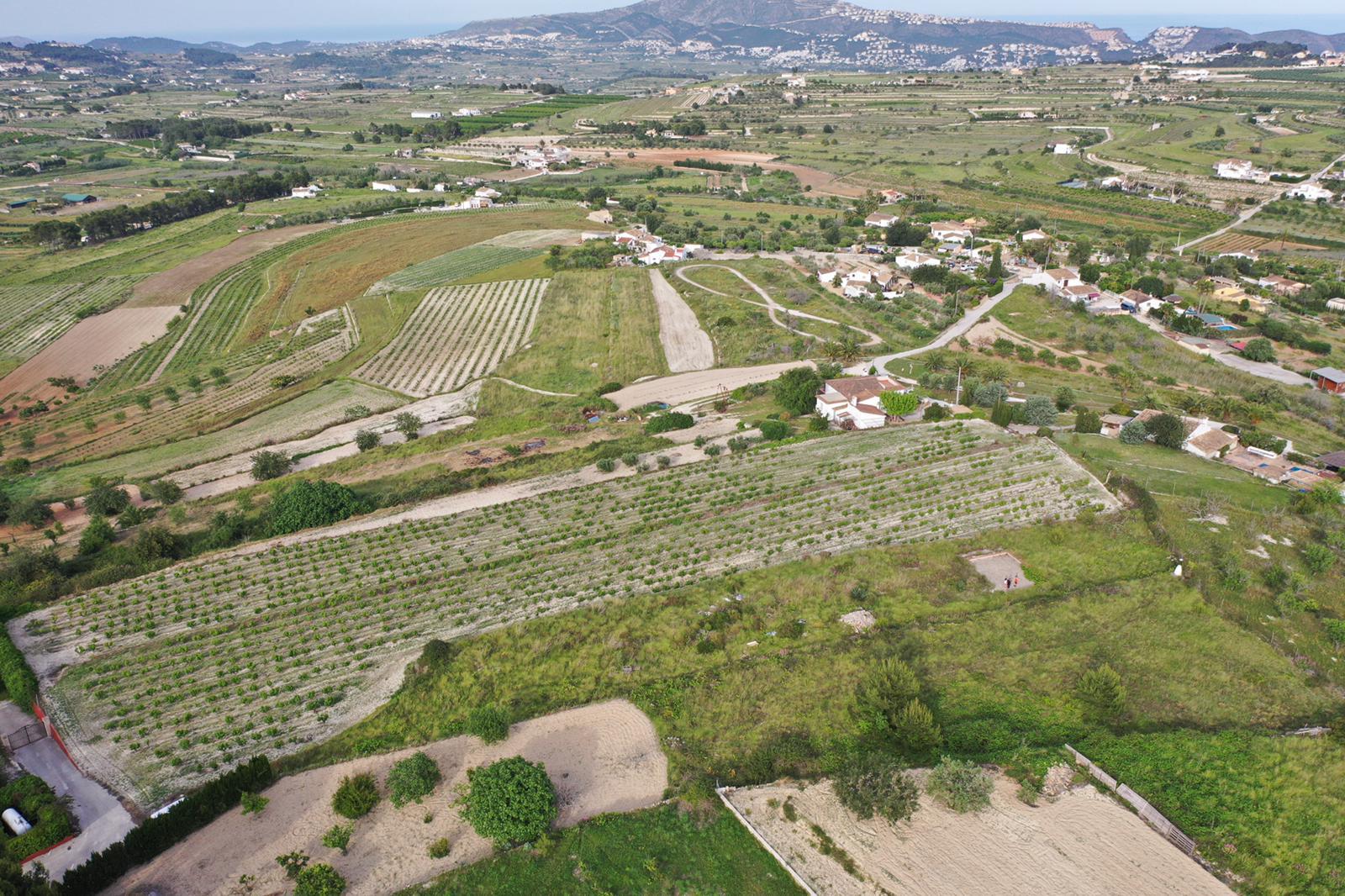 Aerial view of the expansive plot featuring moscatel grape vineyards, set within a Mediterranean landscape with panoramic sea and mountain views.