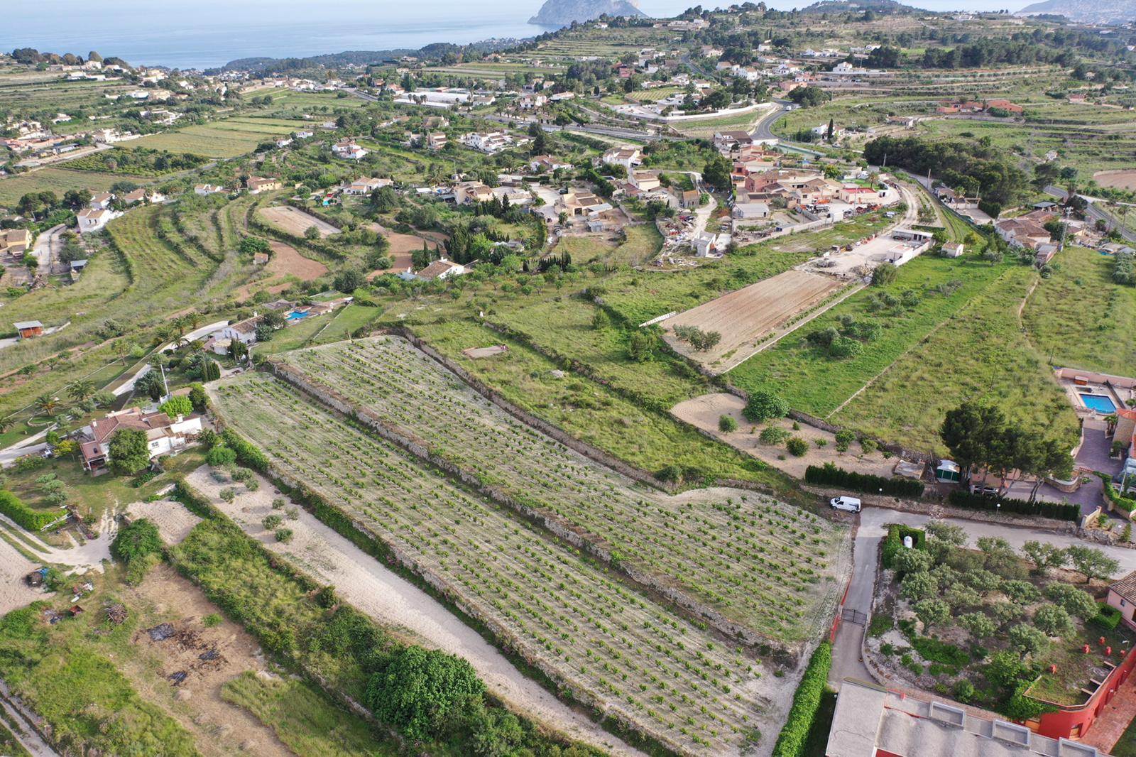 Aerial view of the expansive plot featuring terraced moscatel vineyards and panoramic vistas of the Mediterranean coastline and the Peñón de Ifach.