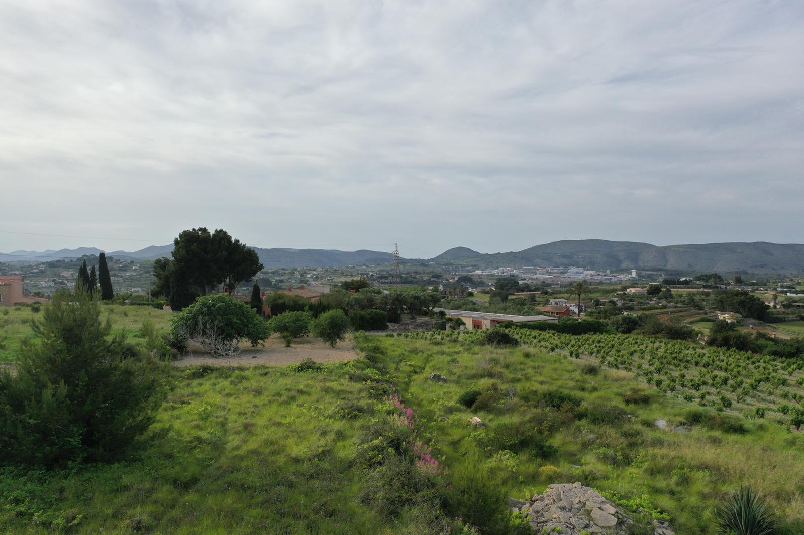 Panoramic view of the estate featuring Moscatel vineyards, native Mediterranean vegetation, and distant mountain ranges under a soft sky.
