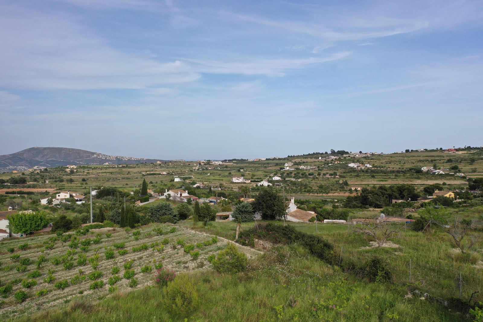 Panoramic view of the moscatel vineyards and Mediterranean countryside, featuring traditional terraced land and distant mountain silhouettes.