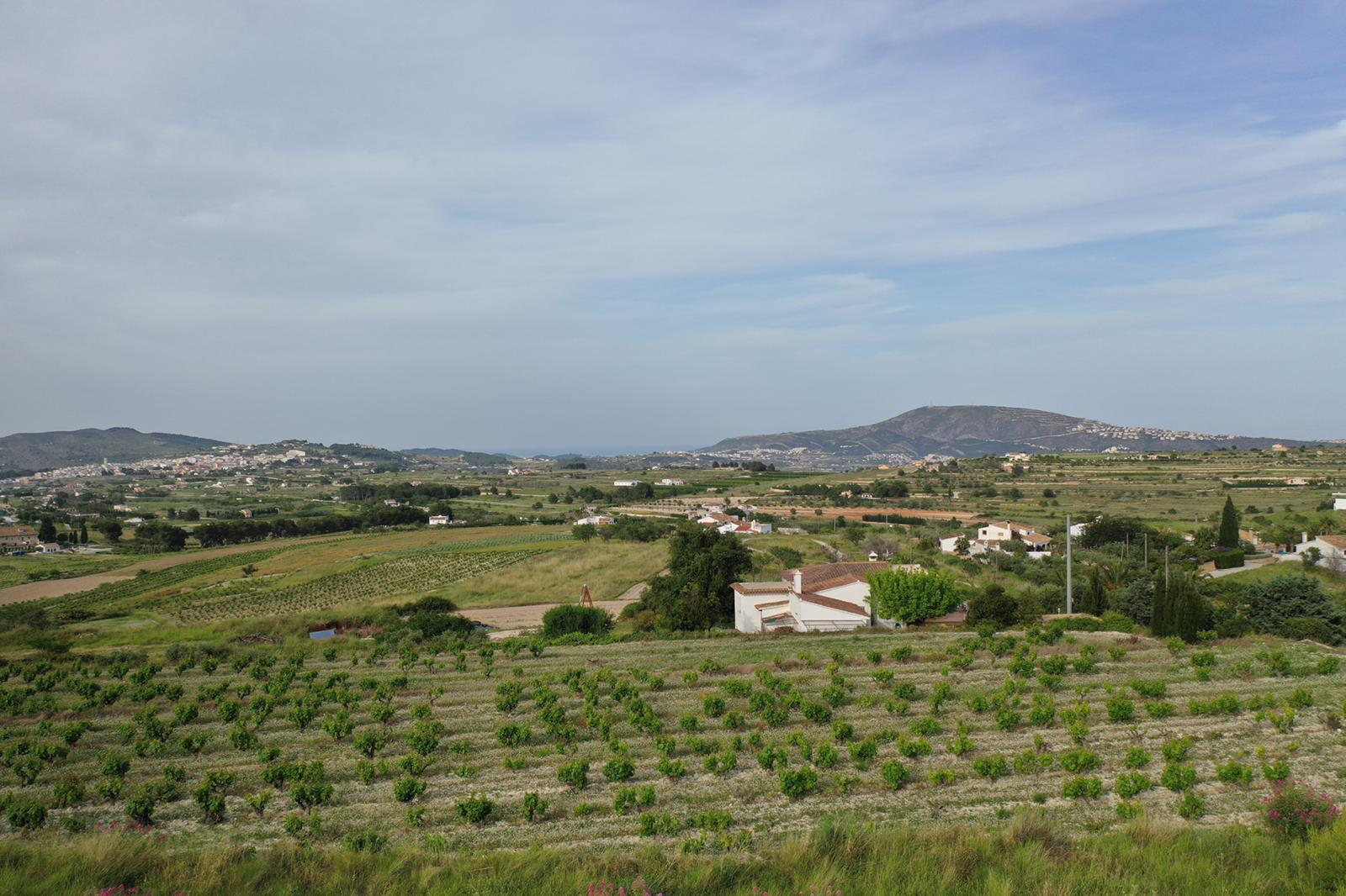 Panoramic view of the Muscat grape vineyards in the foreground, with the rural landscape and mountains stretching toward the sea horizon under a soft sky.