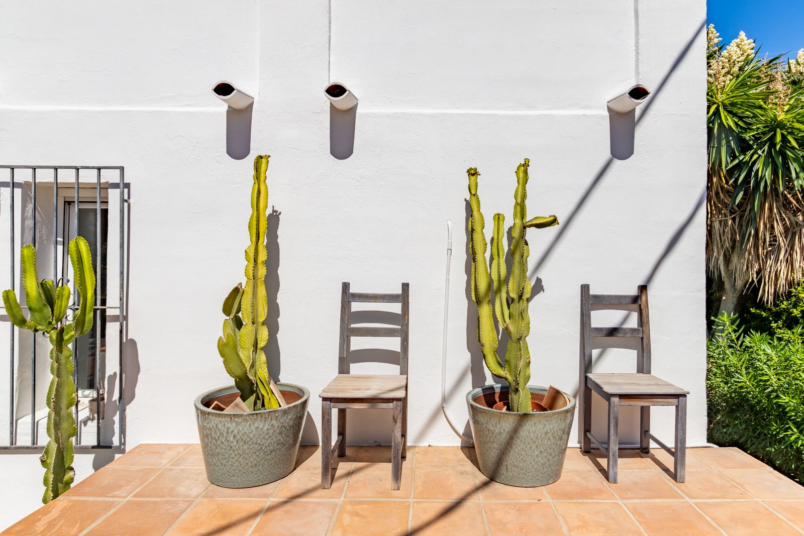 Mediterranean white facade featuring terracotta tile flooring, rustic wooden chairs, and large cacti in glazed pots under bright natural light.