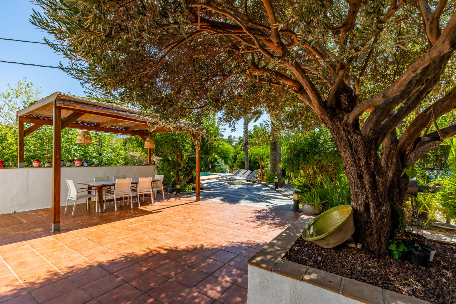 Outdoor terrace featuring terracotta tiling, a wooden pergola with a dining area, and a mature olive tree providing natural shade beside the lush garden.