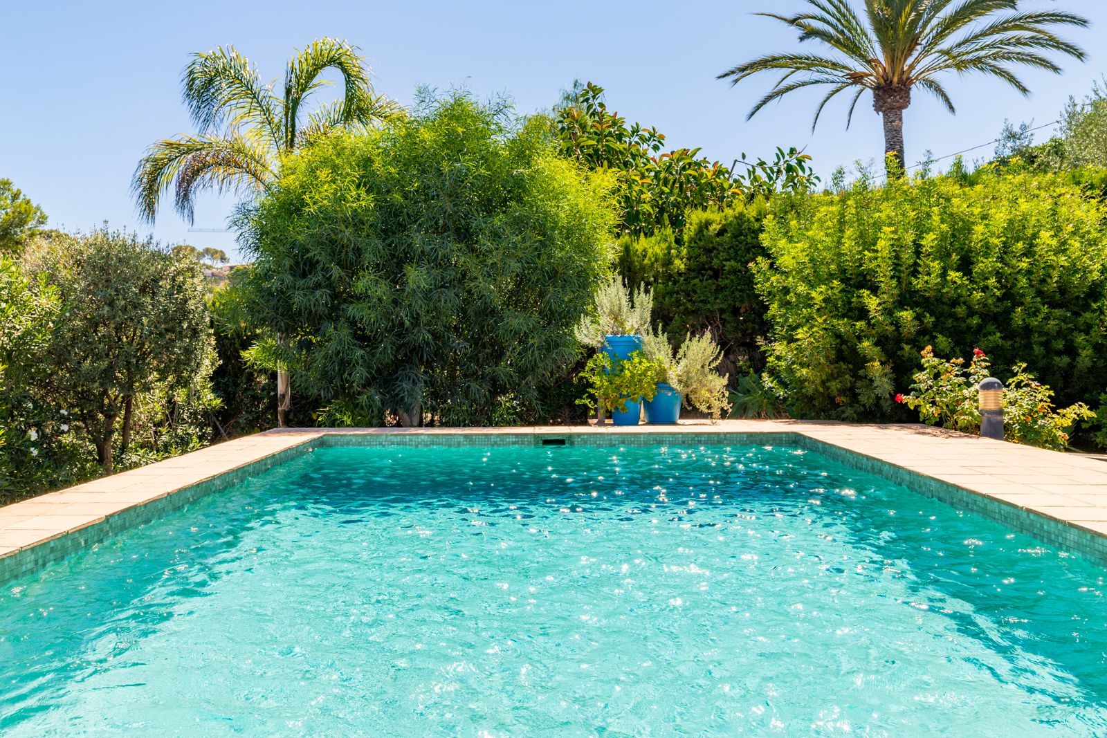 Rectangular swimming pool featuring turquoise mosaic tiling, bordered by lush Mediterranean greenery and palm trees for a private outdoor experience.