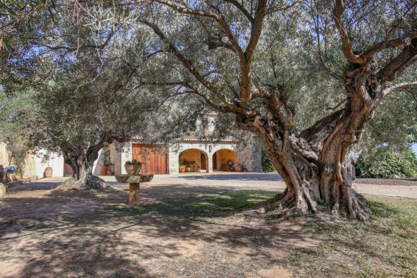 Exterior view framed by ancient olive trees, showcasing the natural stone facade, traditional arched porch, and solid wood garage doors.