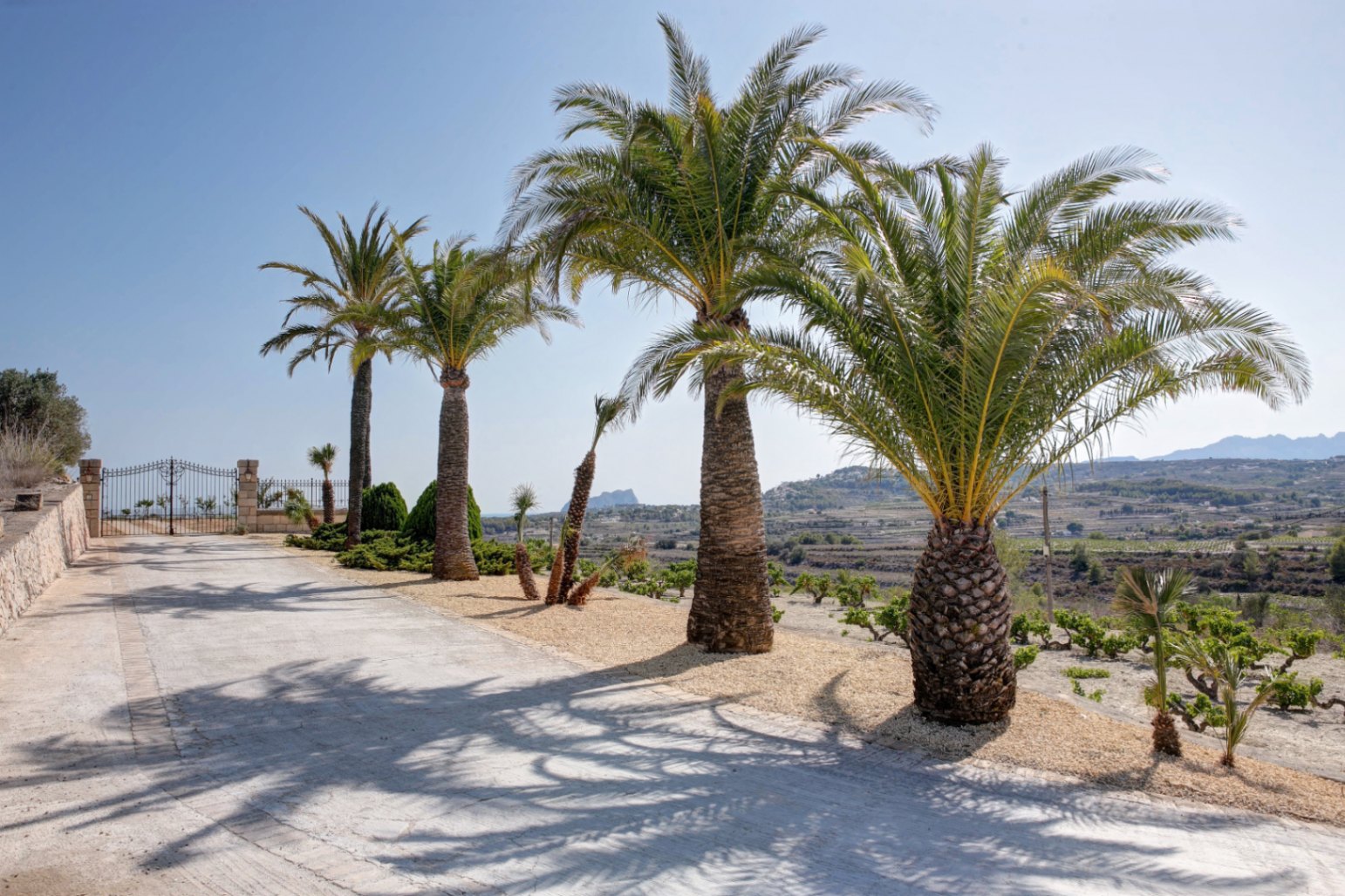 Paved entrance driveway lined with mature palm trees, offering panoramic views of the surrounding countryside and the Peñón de Ifach.