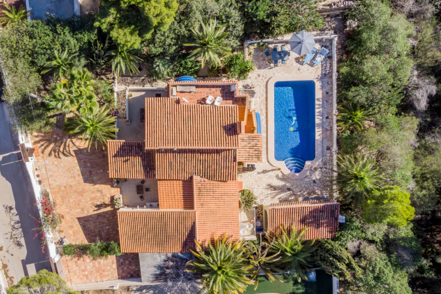 Aerial bird's-eye view of the 1,000 m² plot featuring the 42 m² swimming pool, terracotta tiled roofs, and expansive stone terraces bordered by lush palm trees.