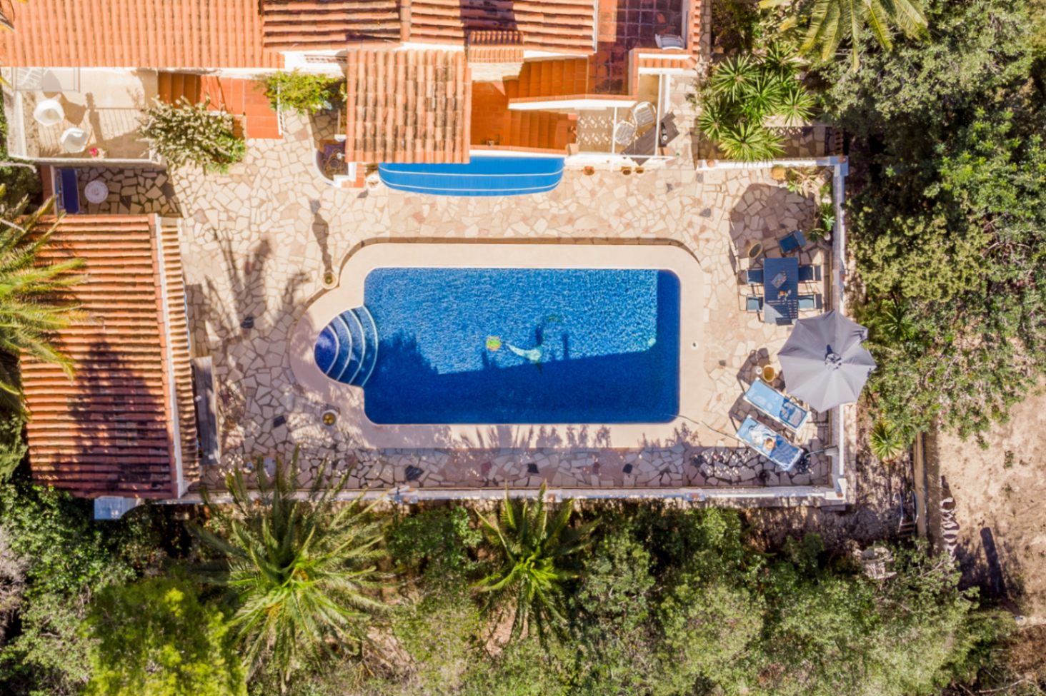 Aerial view of the expansive natural stone terrace featuring a 42 sqm swimming pool, outdoor dining area, and lounge space bordered by mature palms.
