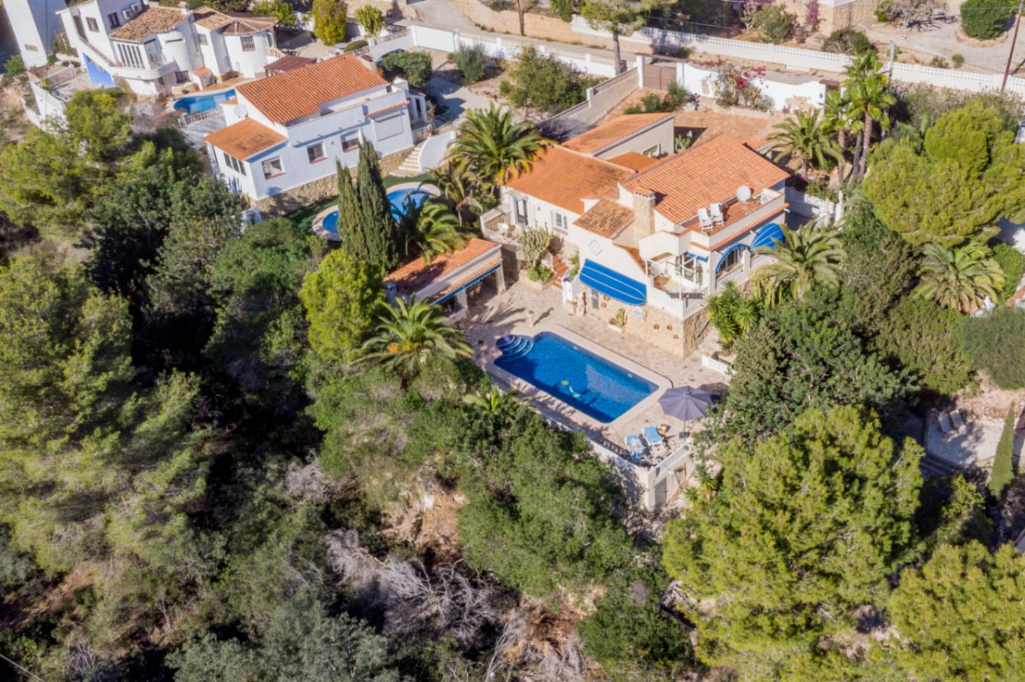 Aerial view of the villa featuring terracotta roofs, a central swimming pool surrounded by mature palms, and an outdoor kitchen area adjacent to a protected green zone.