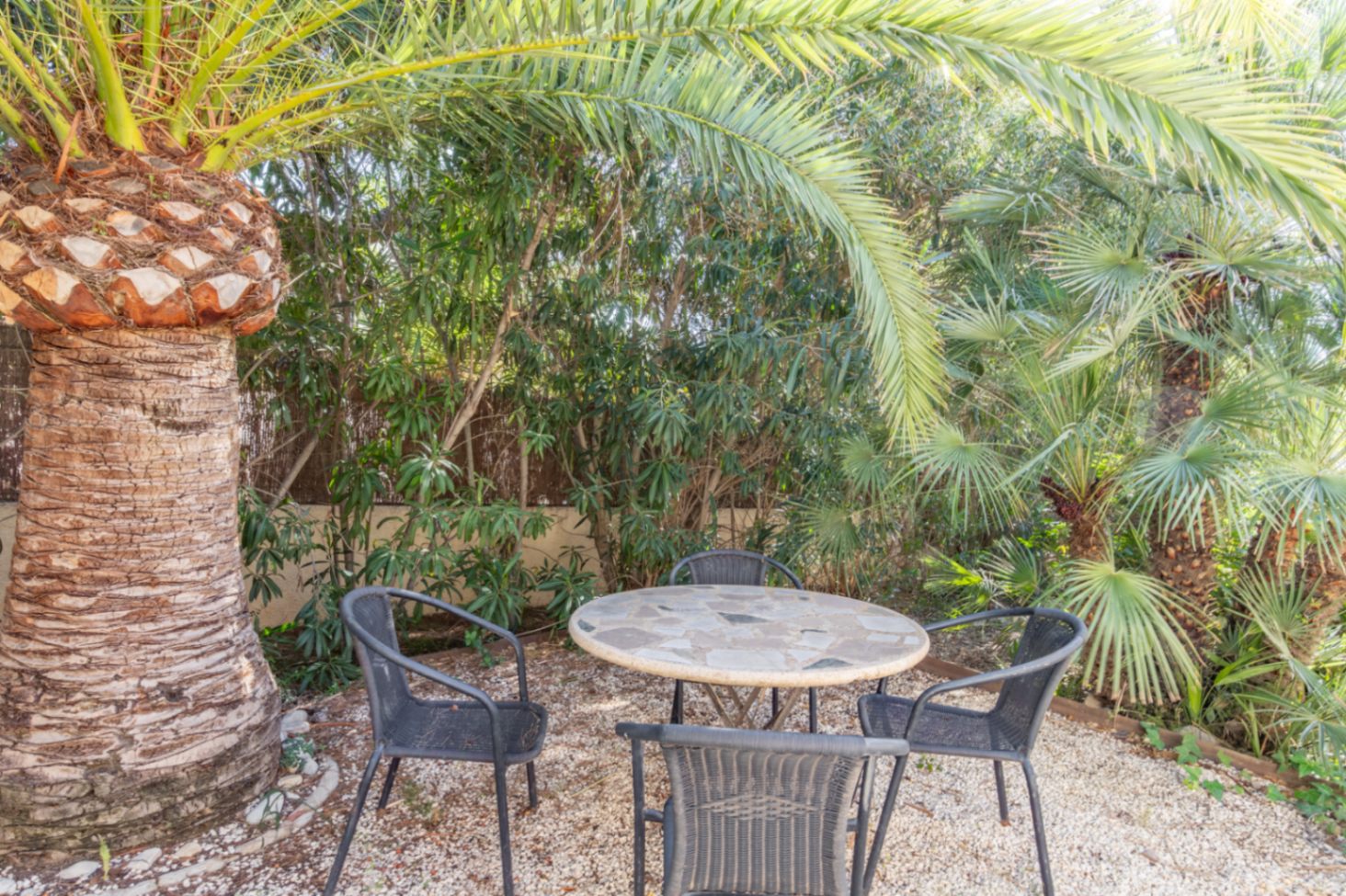 Secluded garden seating area featuring a stone-topped table and chairs, nestled among mature palms and lush Mediterranean vegetation.