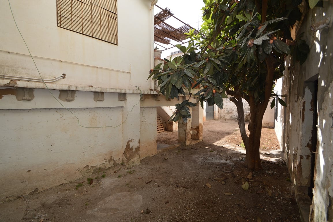 Private courtyard featuring a mature loquat tree, whitewashed walls, and a sheltered area beneath the upper terrace, offering significant renovation potential.