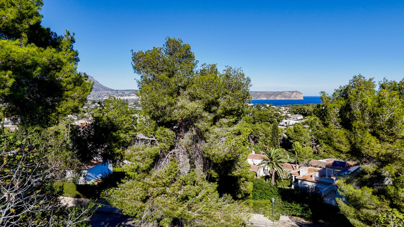 Panoramic view of the Mediterranean Sea and coastal headland, framed by mature pine trees with the Montgó mountain visible in the distance.