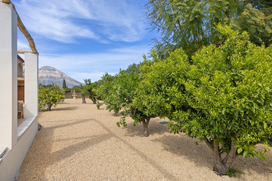Low-maintenance Mediterranean garden featuring citrus trees and gravel paths, offering clear views of the Montgó mountain and a distant stone fountain.