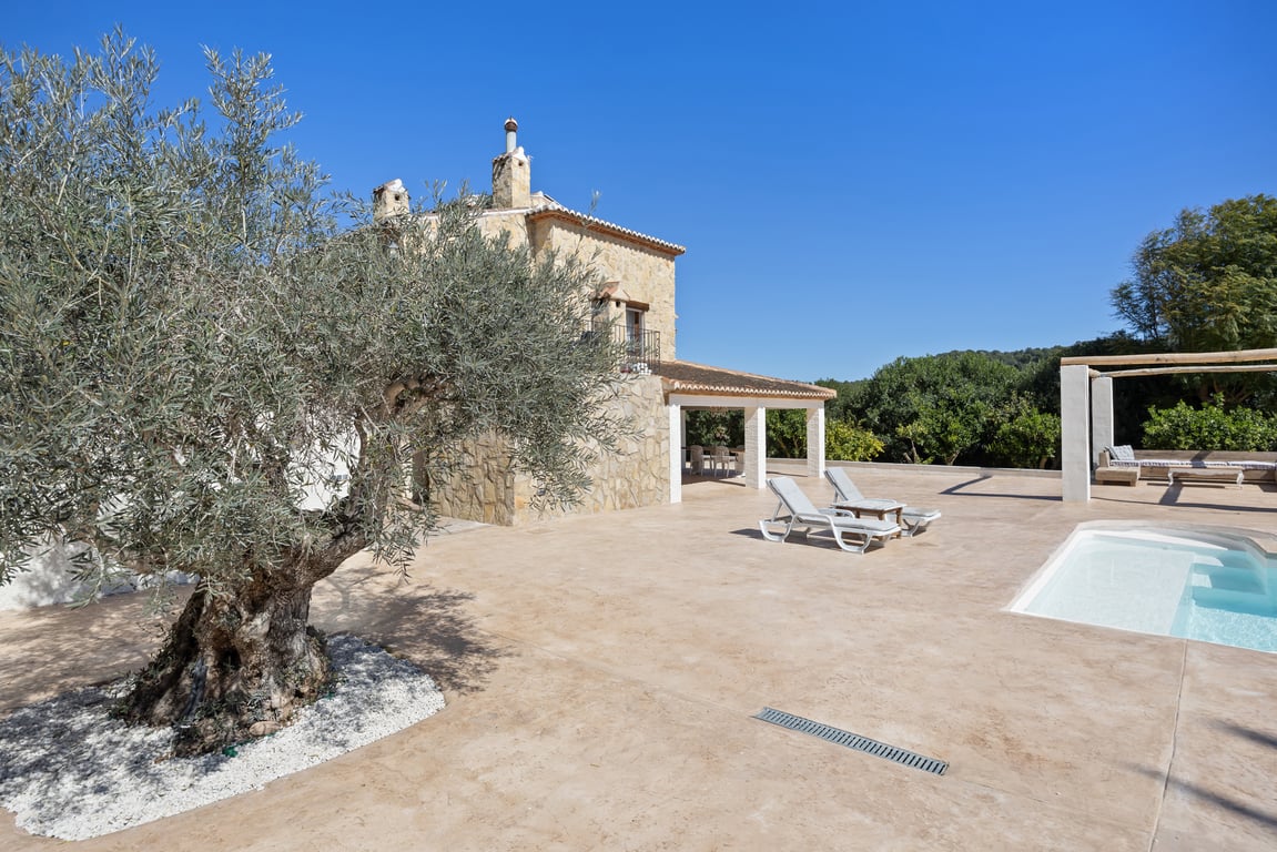 Spacious pool terrace featuring a mature olive tree, natural stone facade, and a sunbathing area with loungers adjacent to the villa's covered porch.