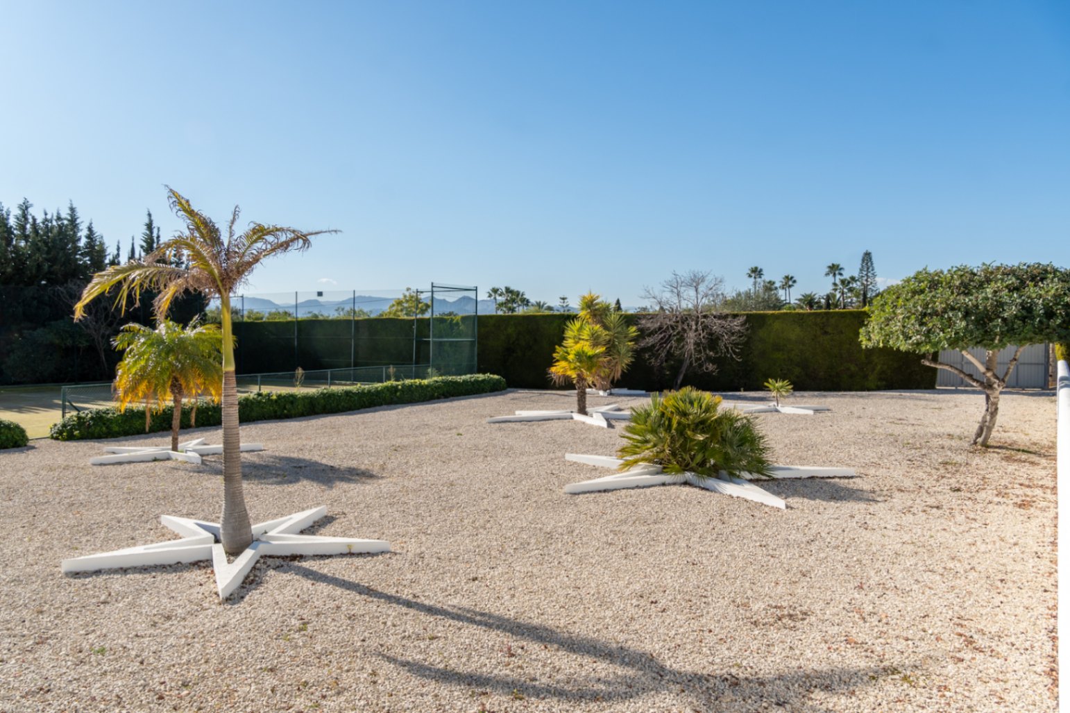 Gravel garden featuring palm trees in white star-shaped planters, adjacent to a private tennis court enclosed by mature privacy hedges.