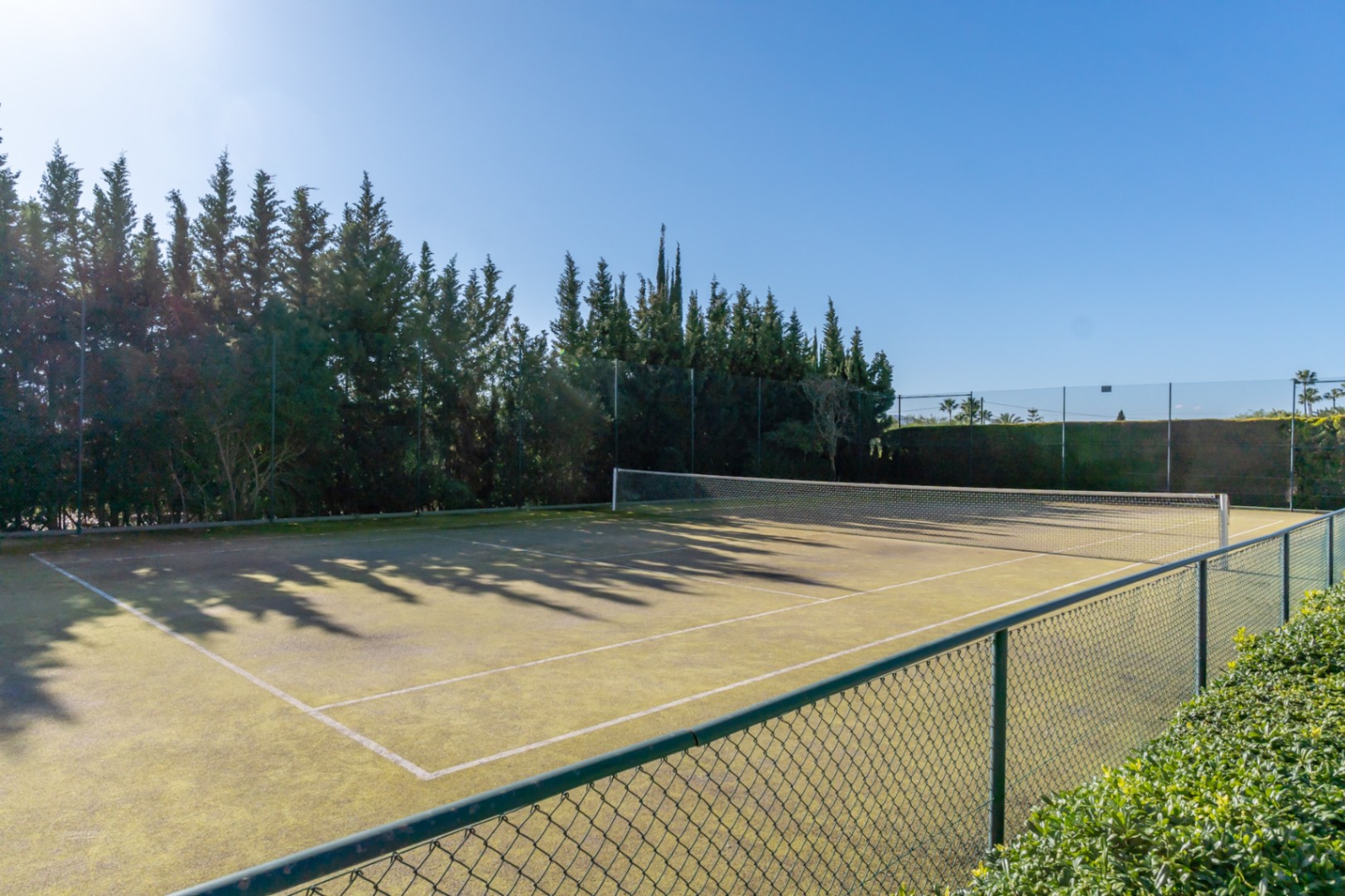 Private tennis court featuring a synthetic surface, enclosed by a green chain-link fence and high cypress trees for wind protection and privacy.