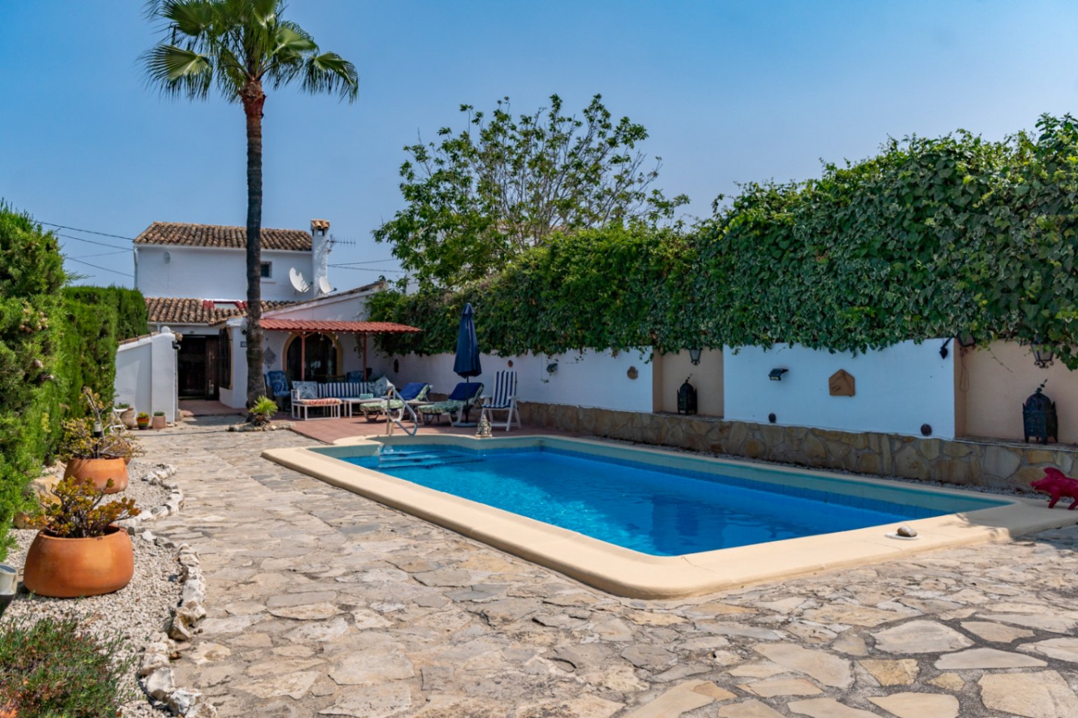 View of the rectangular pool with light border, surrounded by a garden with vegetation-covered walls.