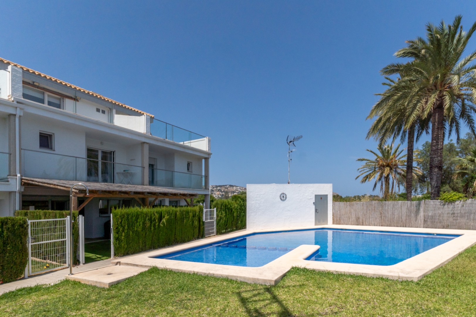 Communal swimming pool surrounded by a lawn and palm trees, featuring direct access from the private patio and views of the contemporary white facade.