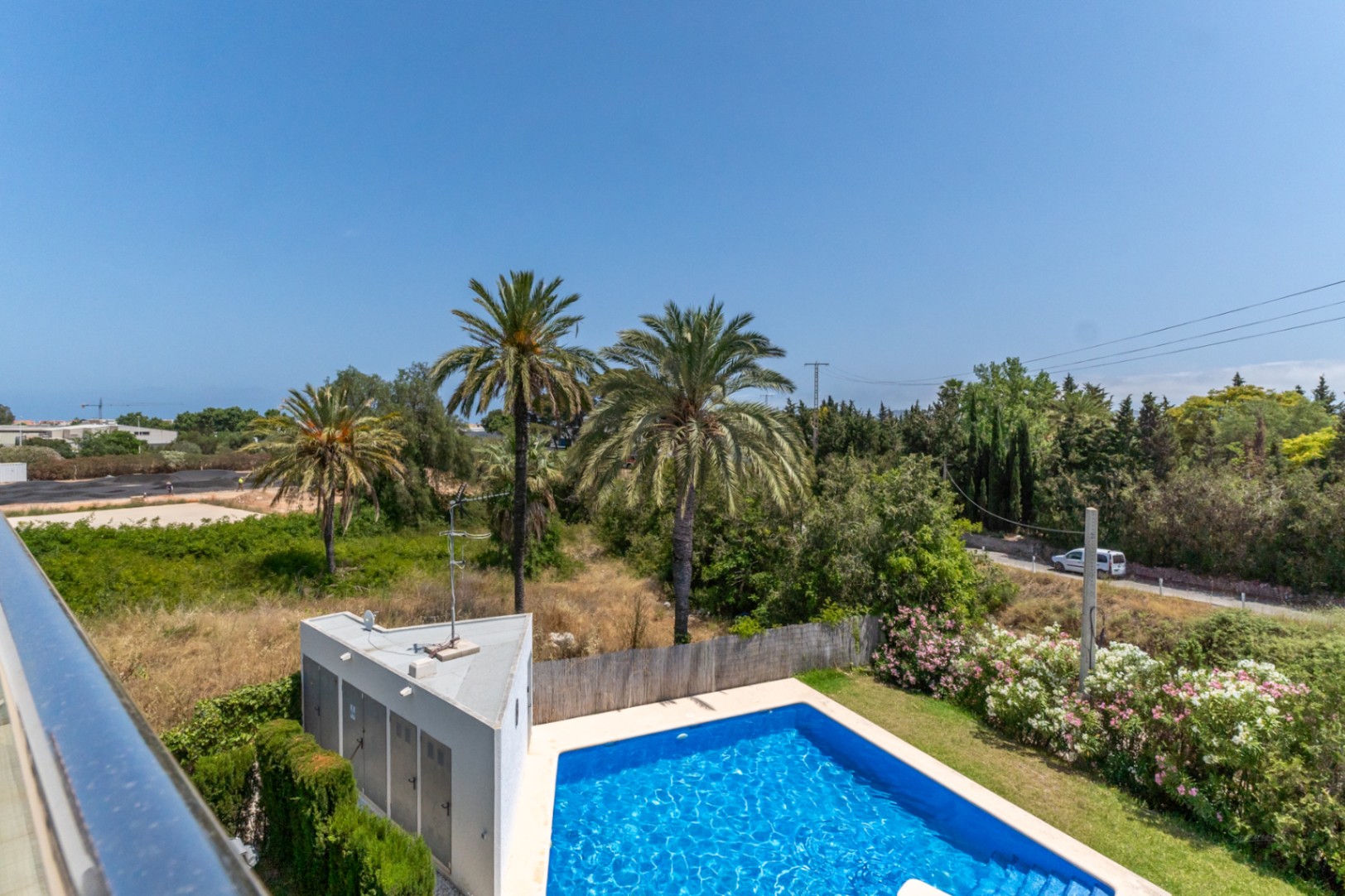 Elevated view from the upper terrace overlooking the communal swimming pool, lush lawn, and mature palm trees in a quiet residential setting.