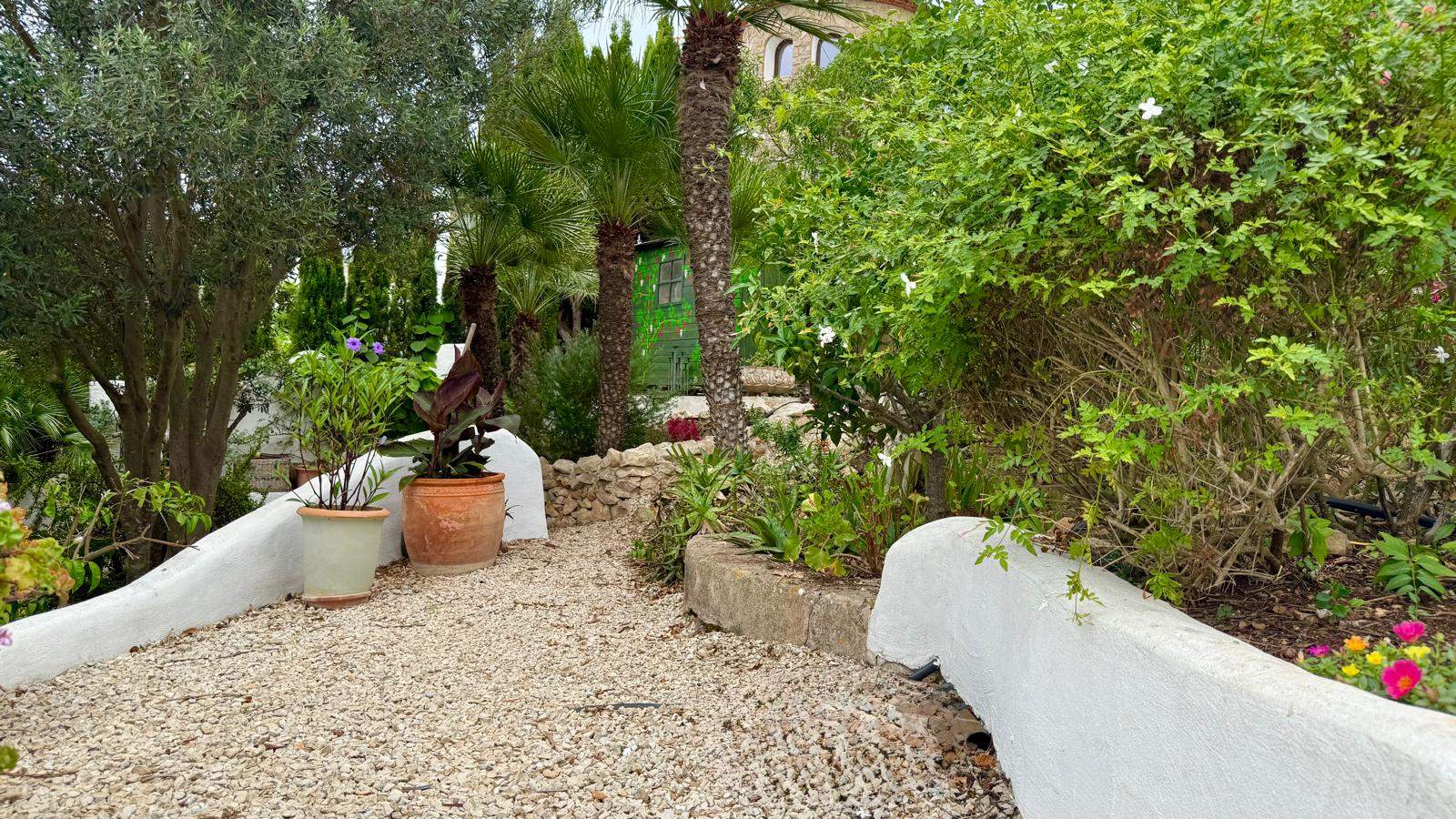 Gravel garden path lined with traditional white-washed walls, terracotta planters, and mature Mediterranean flora including palms and olive trees.