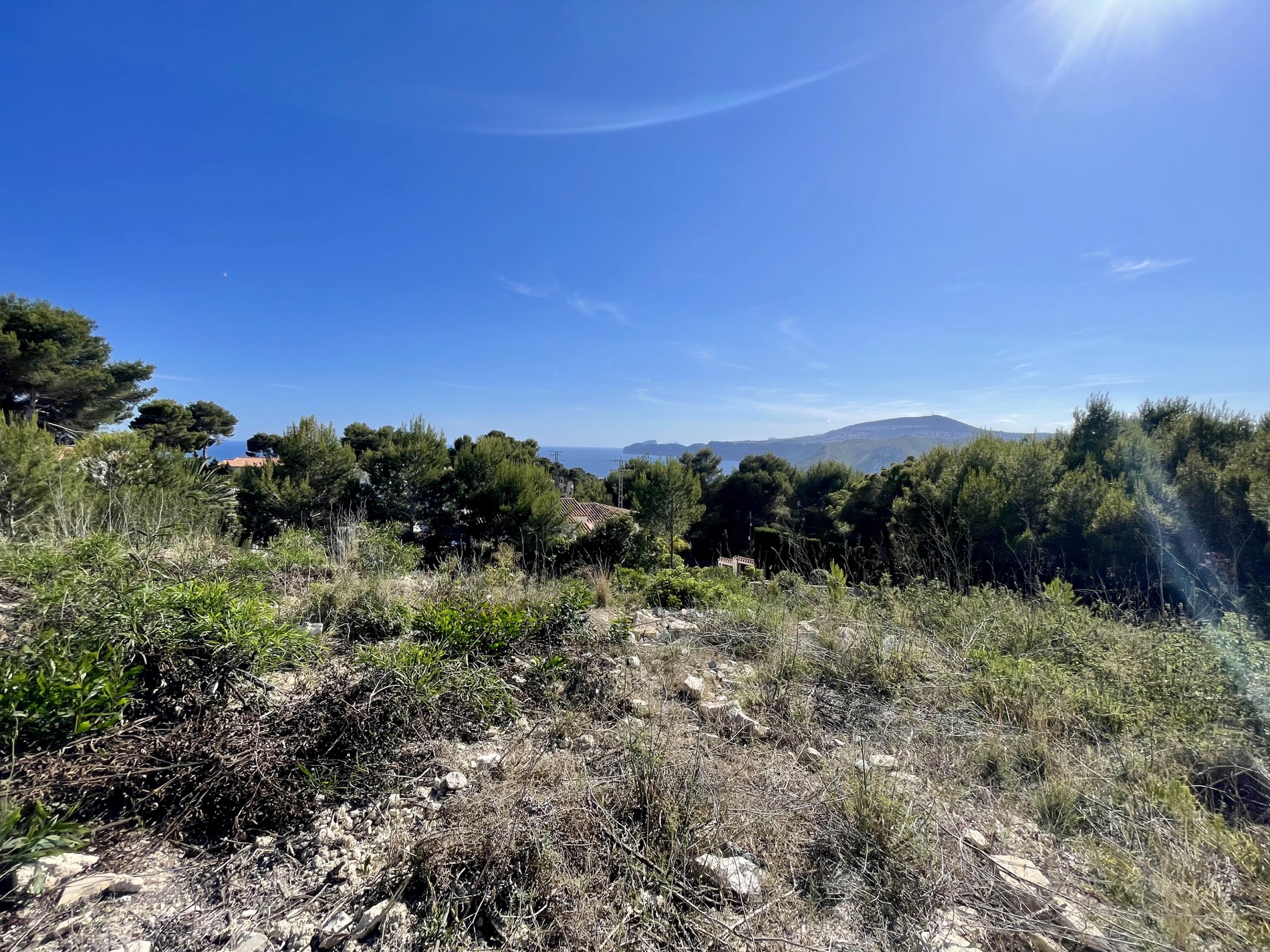Elevated view from the plot overlooking the Mediterranean Sea and distant headland, framed by native pine trees and natural scrubland under a clear sky.