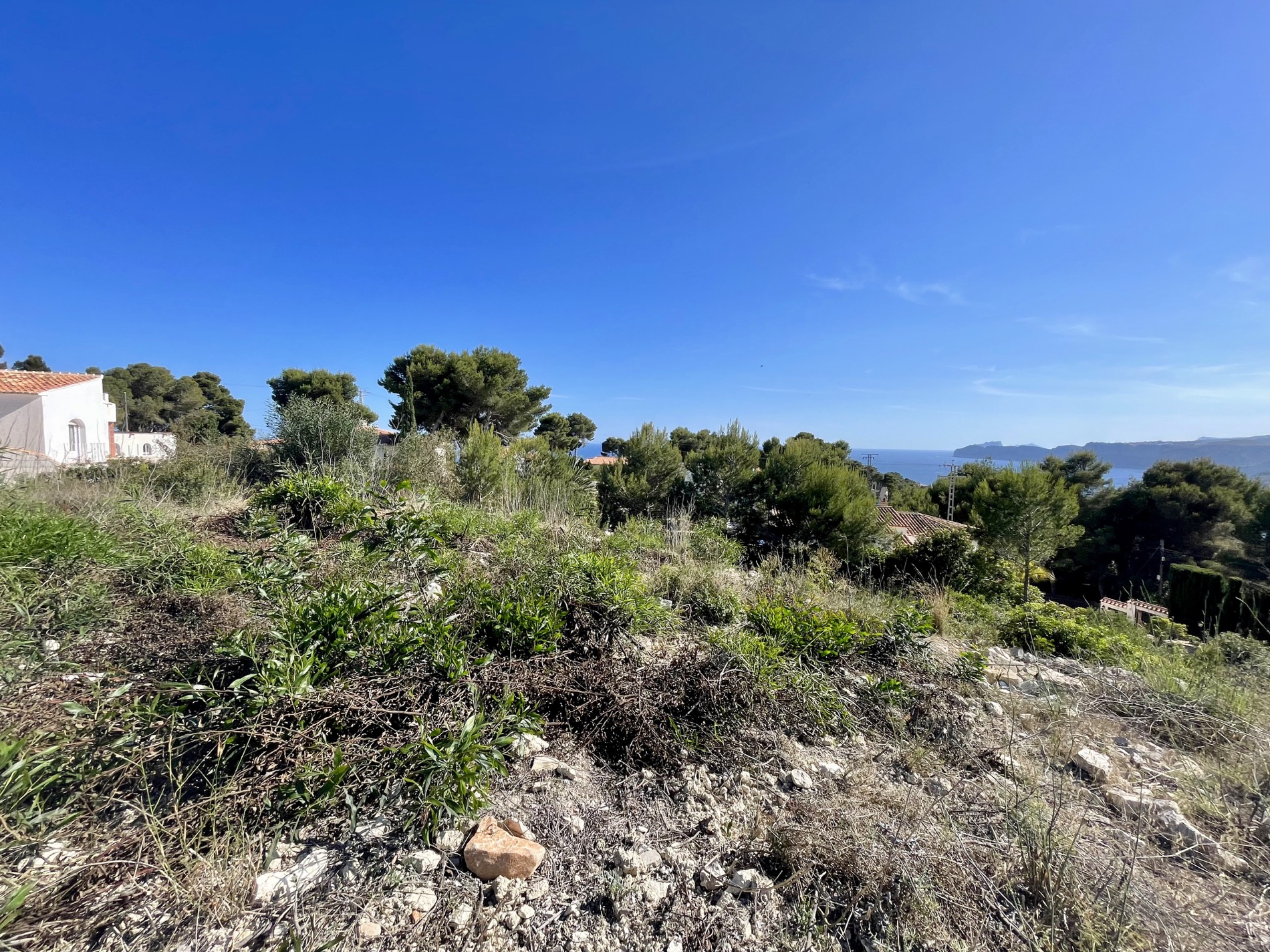 Elevated view of the plot featuring native vegetation and Mediterranean pines, offering clear views toward the sea and horizon under a bright blue sky.