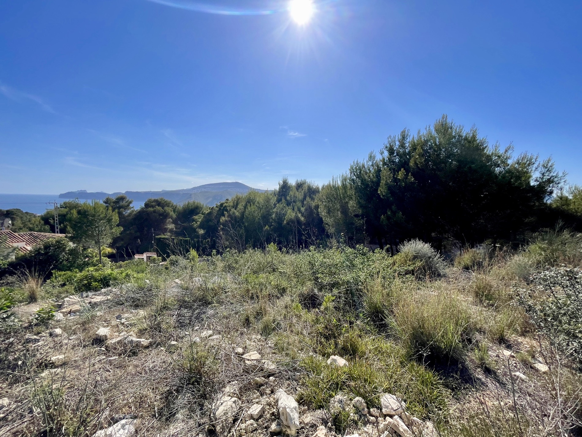Panoramic view from the elevated plot towards the Mediterranean Sea, surrounded by native vegetation and pine trees under a clear, sunny sky.