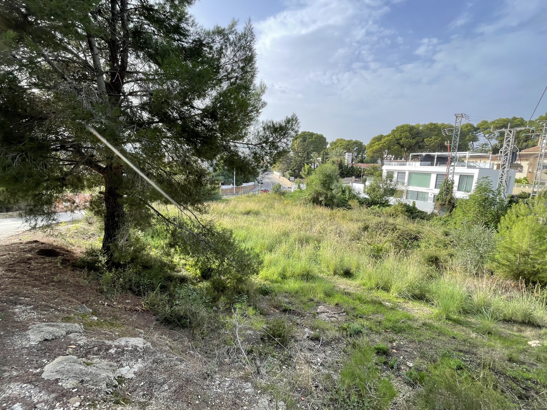 Elevated plot featuring mature pine trees and natural Mediterranean vegetation, overlooking nearby modern villas and local access roads in Moraira.