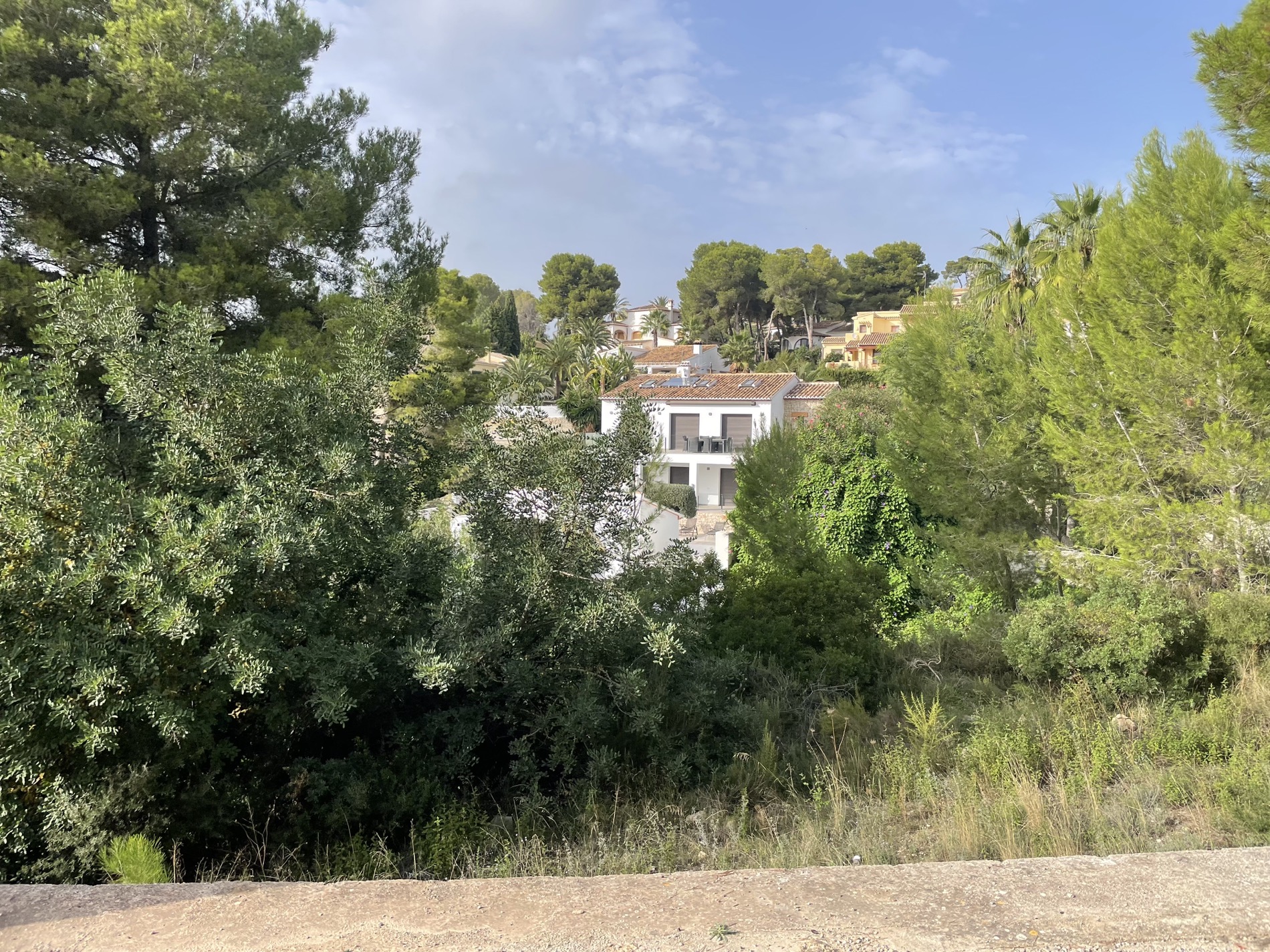 Elevated view from the plot towards neighboring villas, surrounded by mature pine trees and native Mediterranean vegetation in Costera del Mar.
