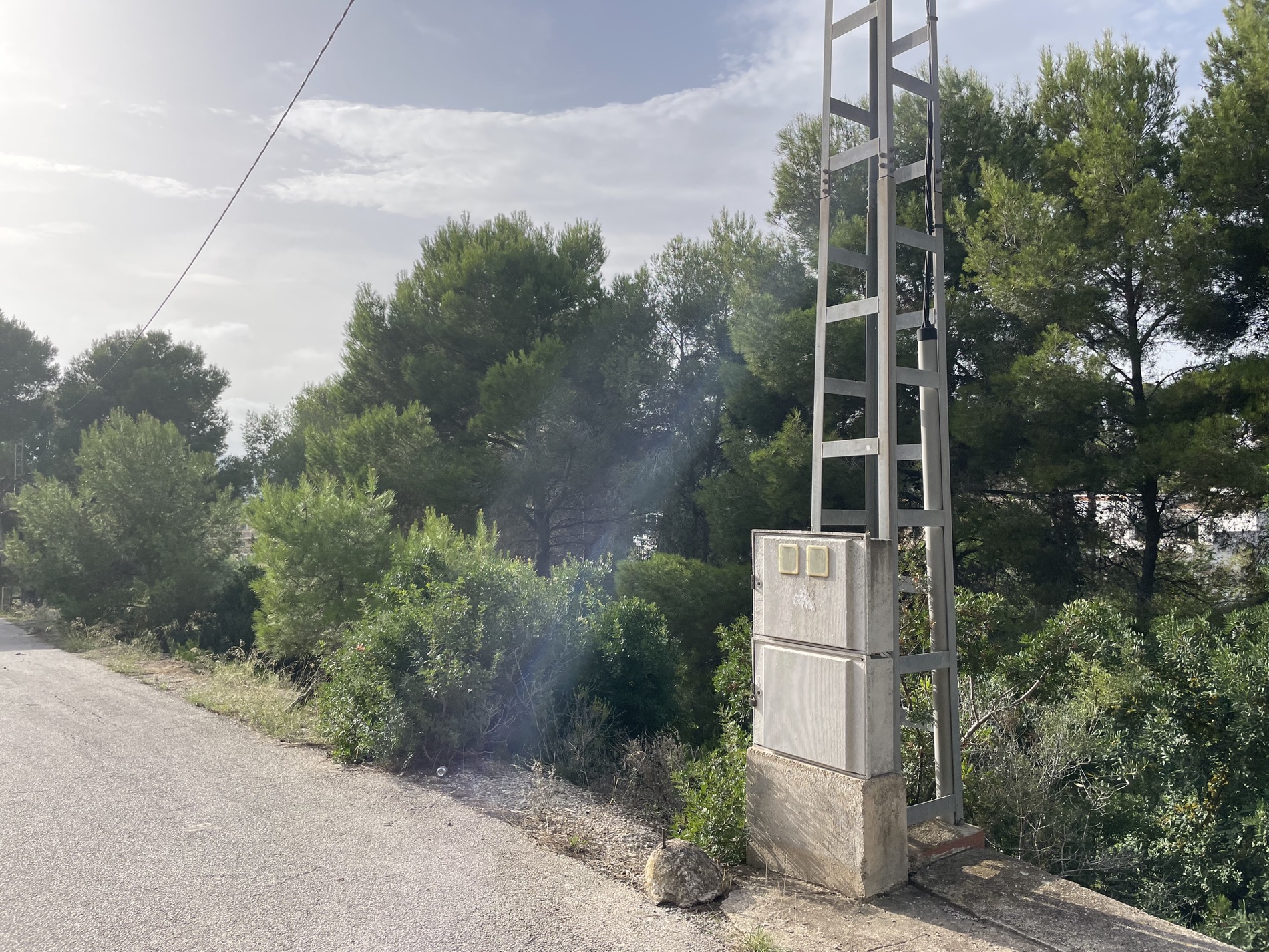 Metal utility pole with electrical connection box located by the paved access road, bordered by dense Mediterranean pine trees and shrubs.