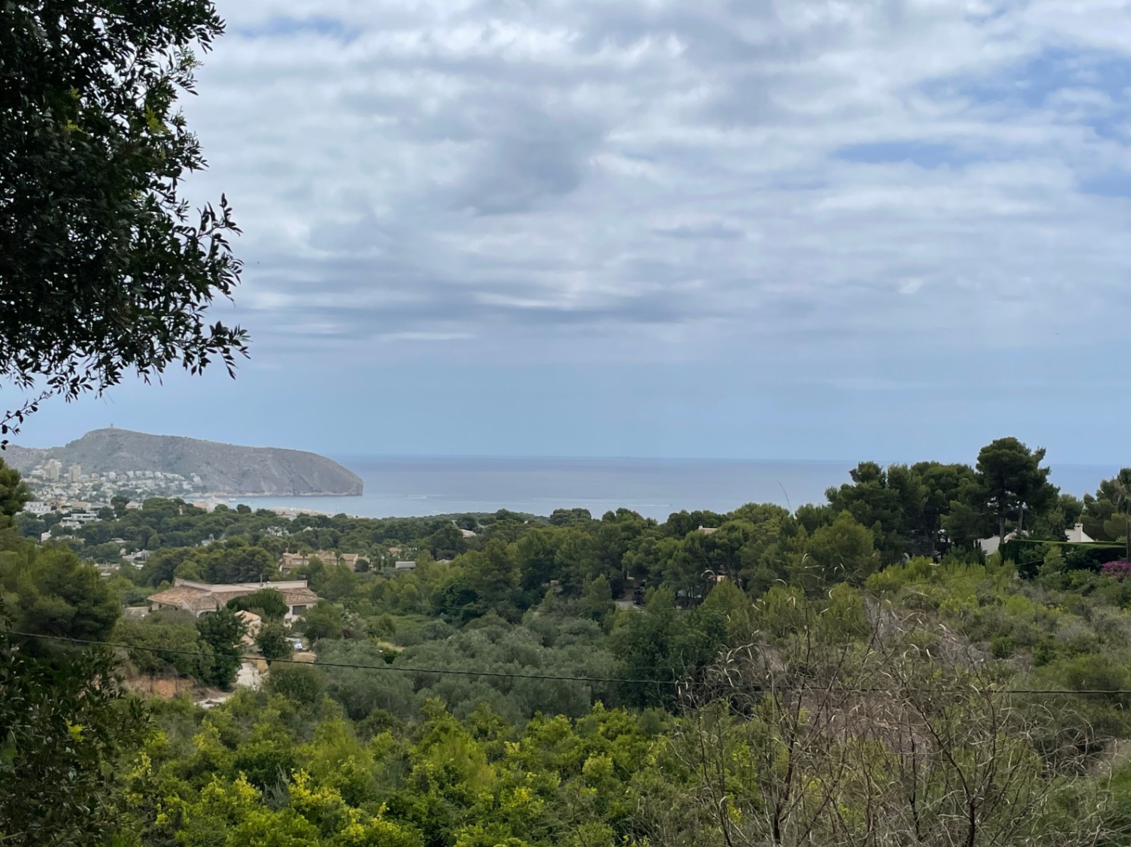 Elevated panoramic view from the plot overlooking the Mediterranean Sea and Cap d'Or, framed by lush Mediterranean pine trees and coastal vegetation.