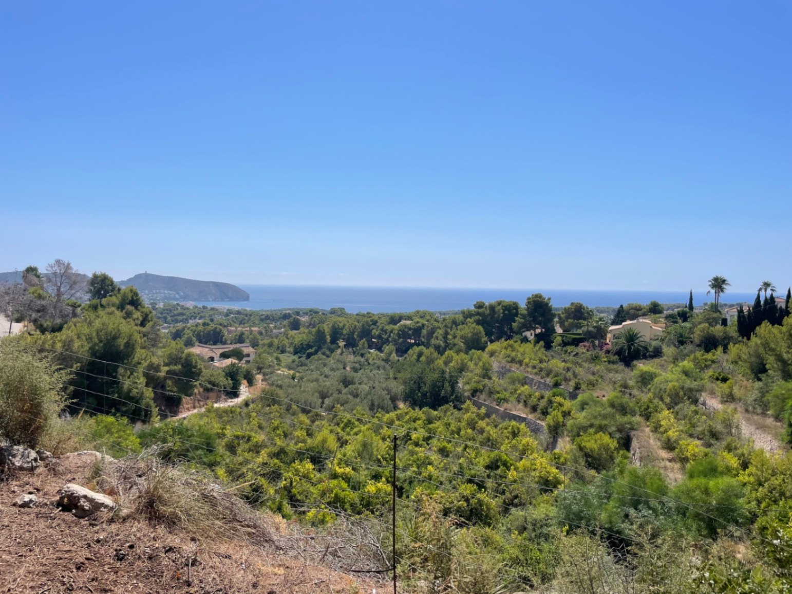 Elevated panoramic view from the plot overlooking the Mediterranean Sea and lush green valley with native pine trees in Benimeit, Moraira.