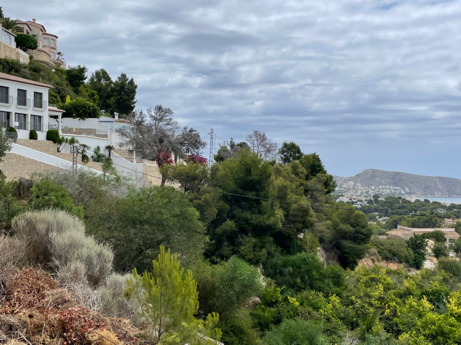 Elevated perspective from the Benimeit plot, featuring dense Mediterranean greenery, stone walls, and a distant view of the sea and Cap d'Or headland.