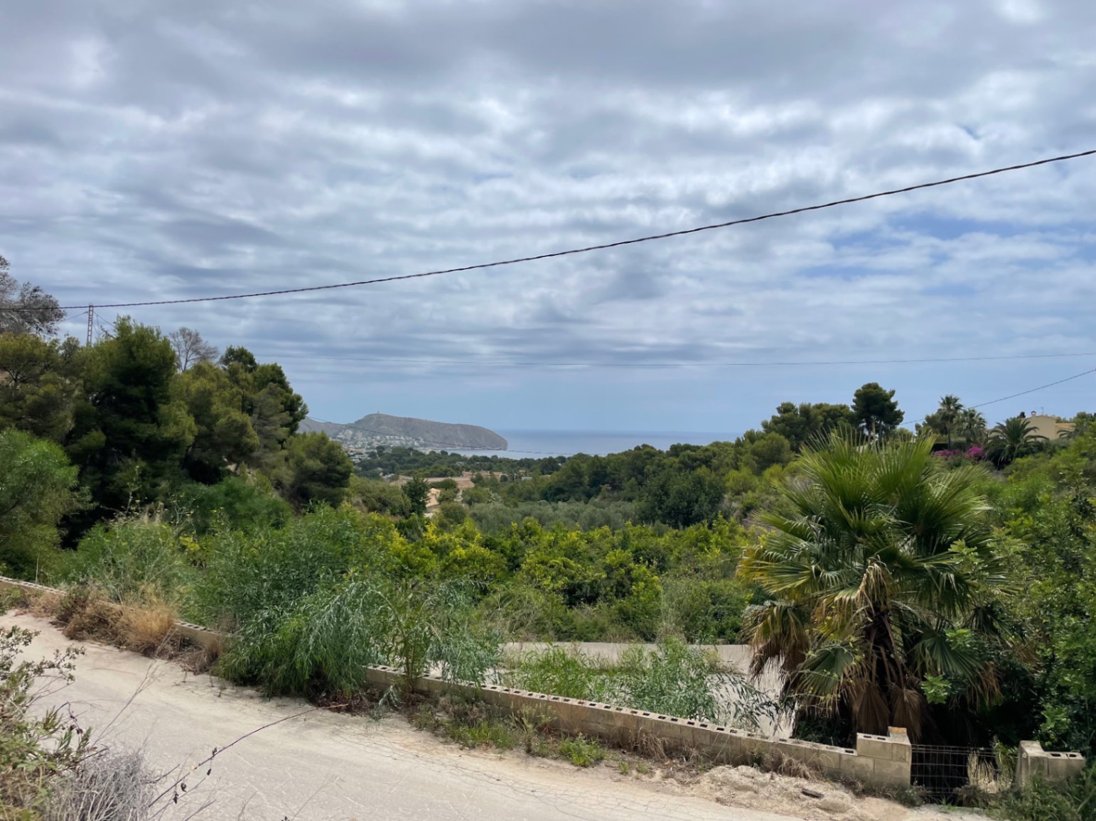 Elevated view from the plot towards the Mediterranean Sea and Moraira's headland, surrounded by natural pine trees and palm vegetation.