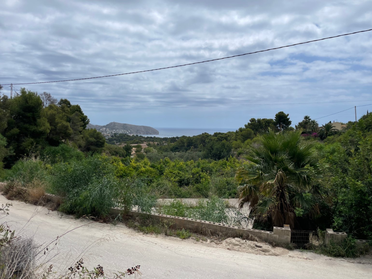 Elevated view of the Mediterranean Sea and Cap d'Or headland, framed by native pine trees and Mediterranean vegetation from the plot access.
