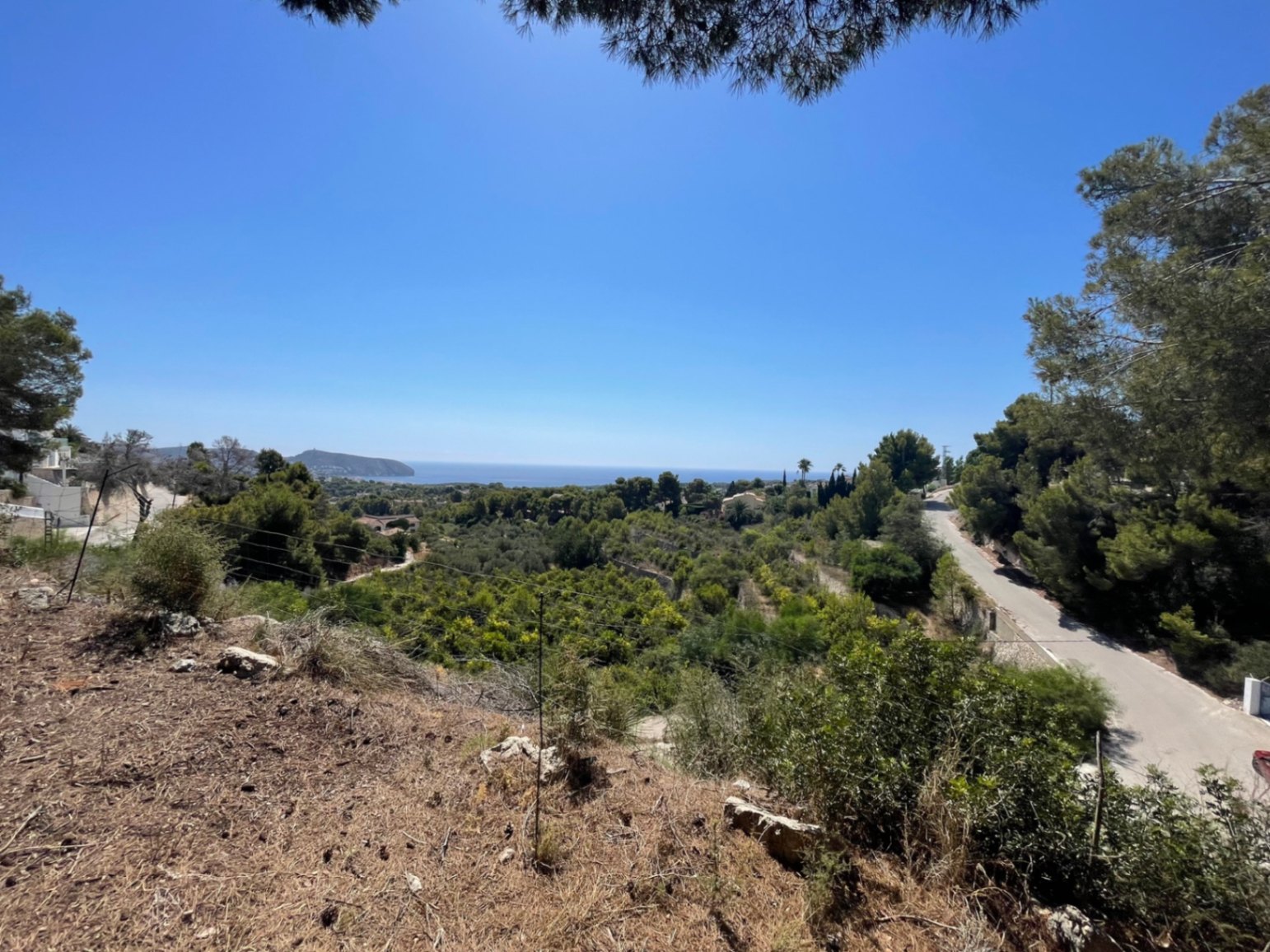 Panoramic Mediterranean Sea views from the elevated building plot in Benimeit, Moraira, featuring natural pine surroundings and a clear coastal horizon.