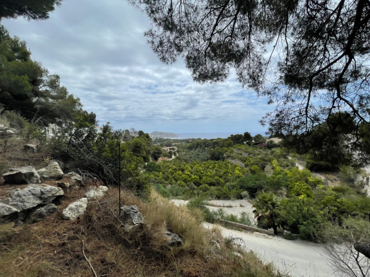 Panoramic sea and valley views from the elevated plot, framed by native pine trees and lush Mediterranean vegetation in Benimeit.