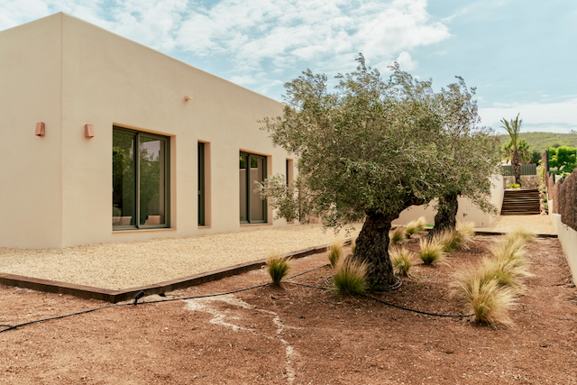 Minimalist sand-toned facade featuring double-glazed sliding doors and a Mediterranean garden with mature olive trees and decorative gravel.