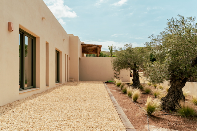 Minimalist sand-toned facade featuring double-glazed sliding doors and a Mediterranean landscape with mature olive trees and decorative gravel paths.