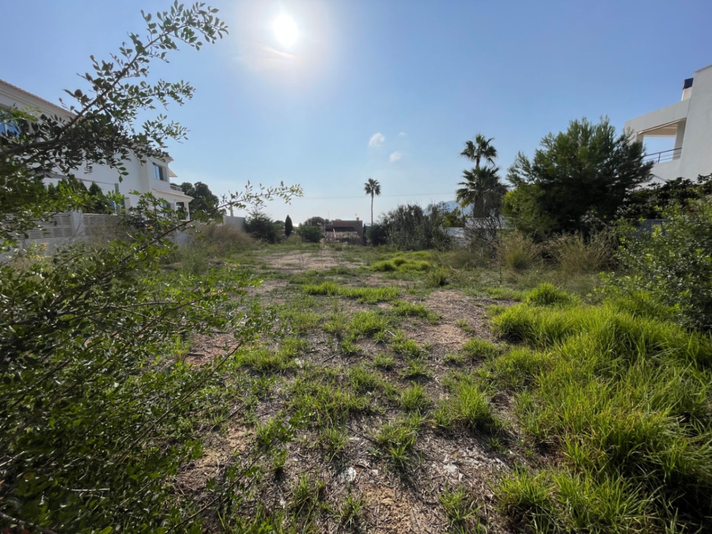Flat 856 m² building plot in Bassetes, Calpe, featuring natural vegetation and surrounded by established white villas under a clear sky.