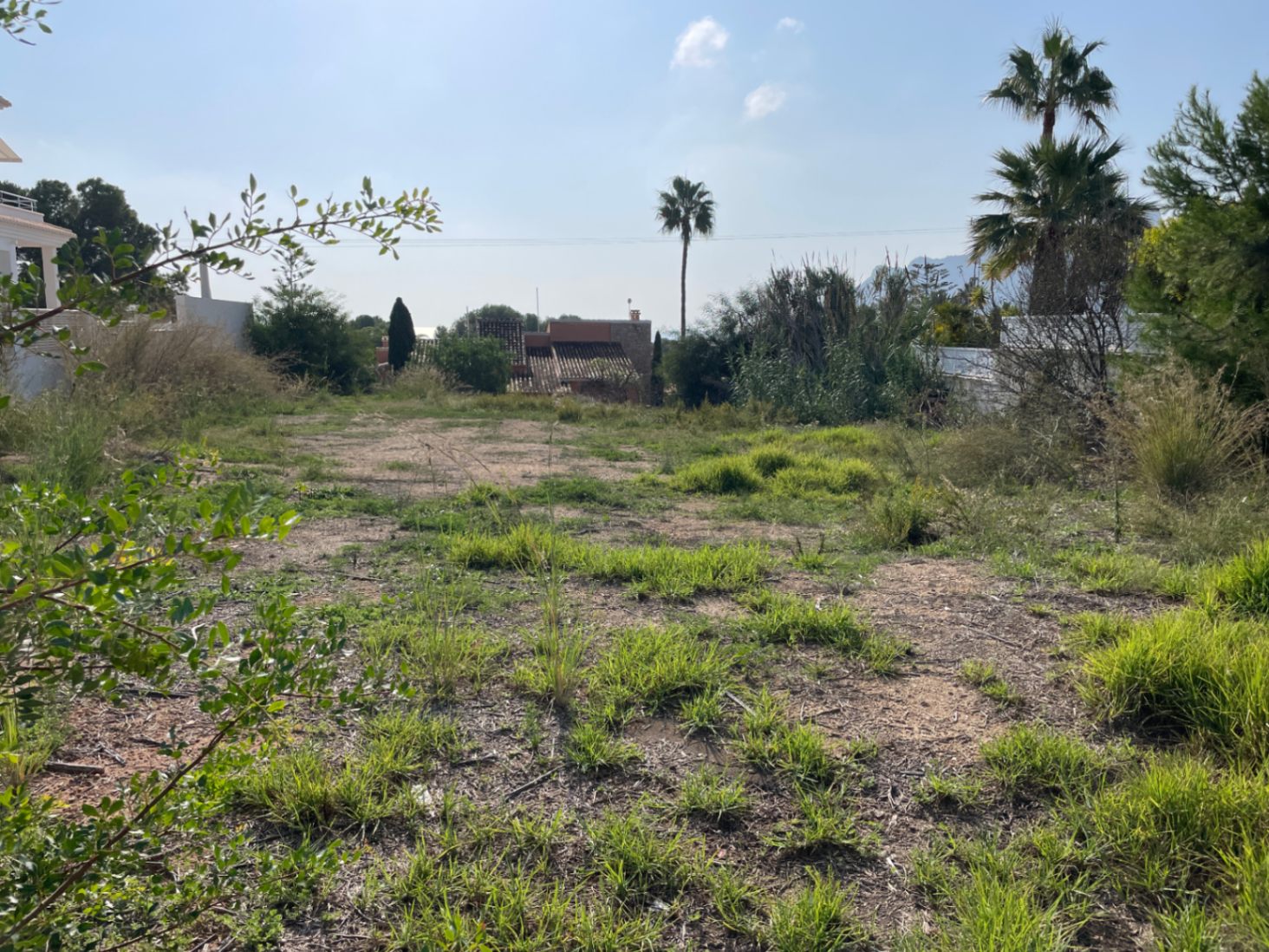 Flat 856 m² plot in Bassetes, Calpe, featuring natural Mediterranean vegetation and south-facing orientation, perfect for a custom detached villa.