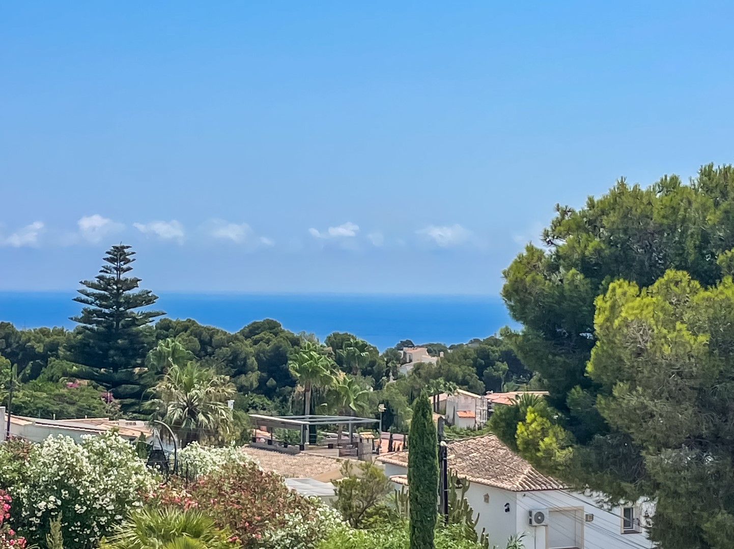 Elevated panoramic view of the Mediterranean Sea from Balcón al Mar, framed by mature pine trees, palms, and traditional tiled rooftops in Jávea.