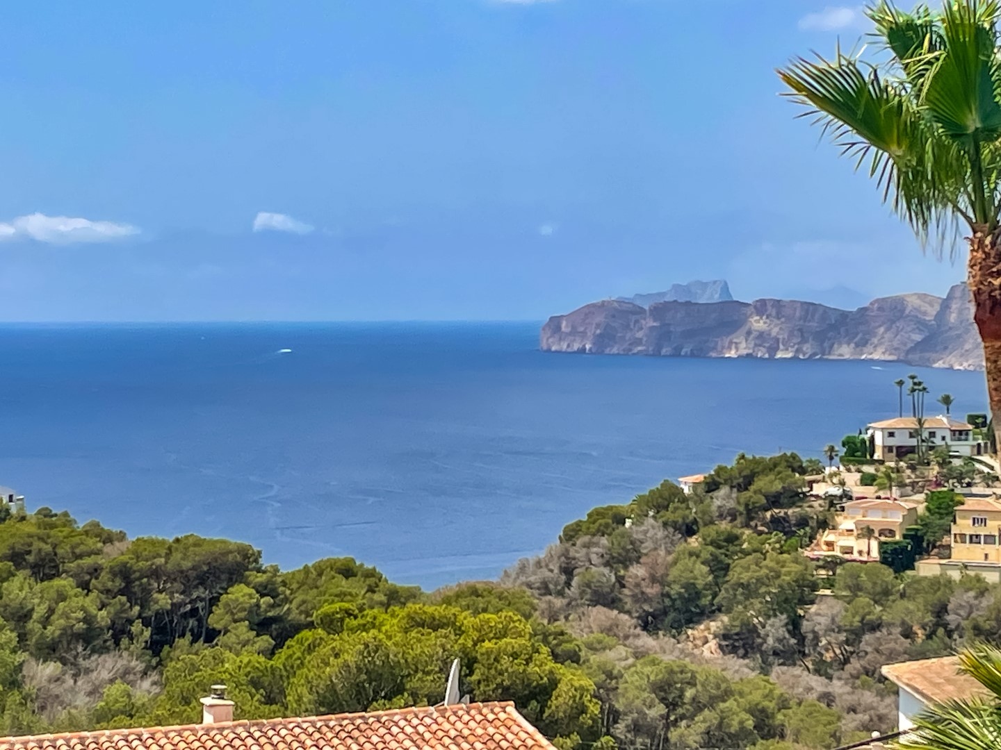 Elevated panoramic views of the Mediterranean Sea and coastal cliffs, featuring lush pine forests and traditional terracotta rooftops in Jávea.