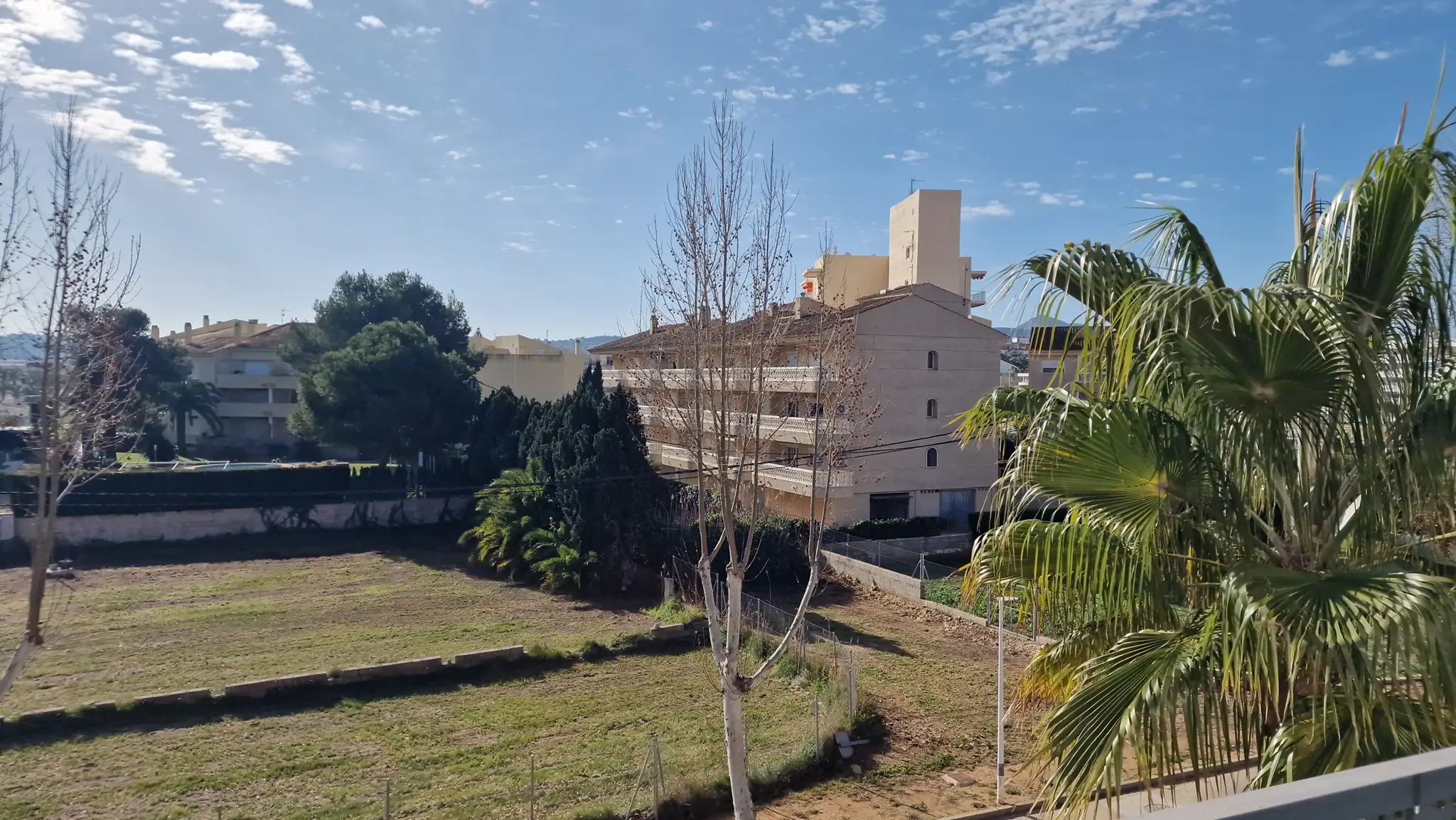 Elevated exterior view overlooking a vacant plot and neighboring residential buildings, framed by palm fronds and deciduous trees under a clear sky.
