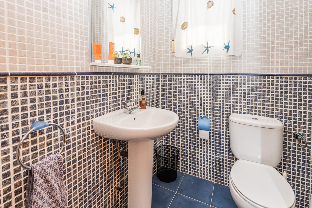 Bathroom featuring two-tone mosaic wall tiling in blue and beige, a white pedestal sink, and natural light from a window with maritime motifs.