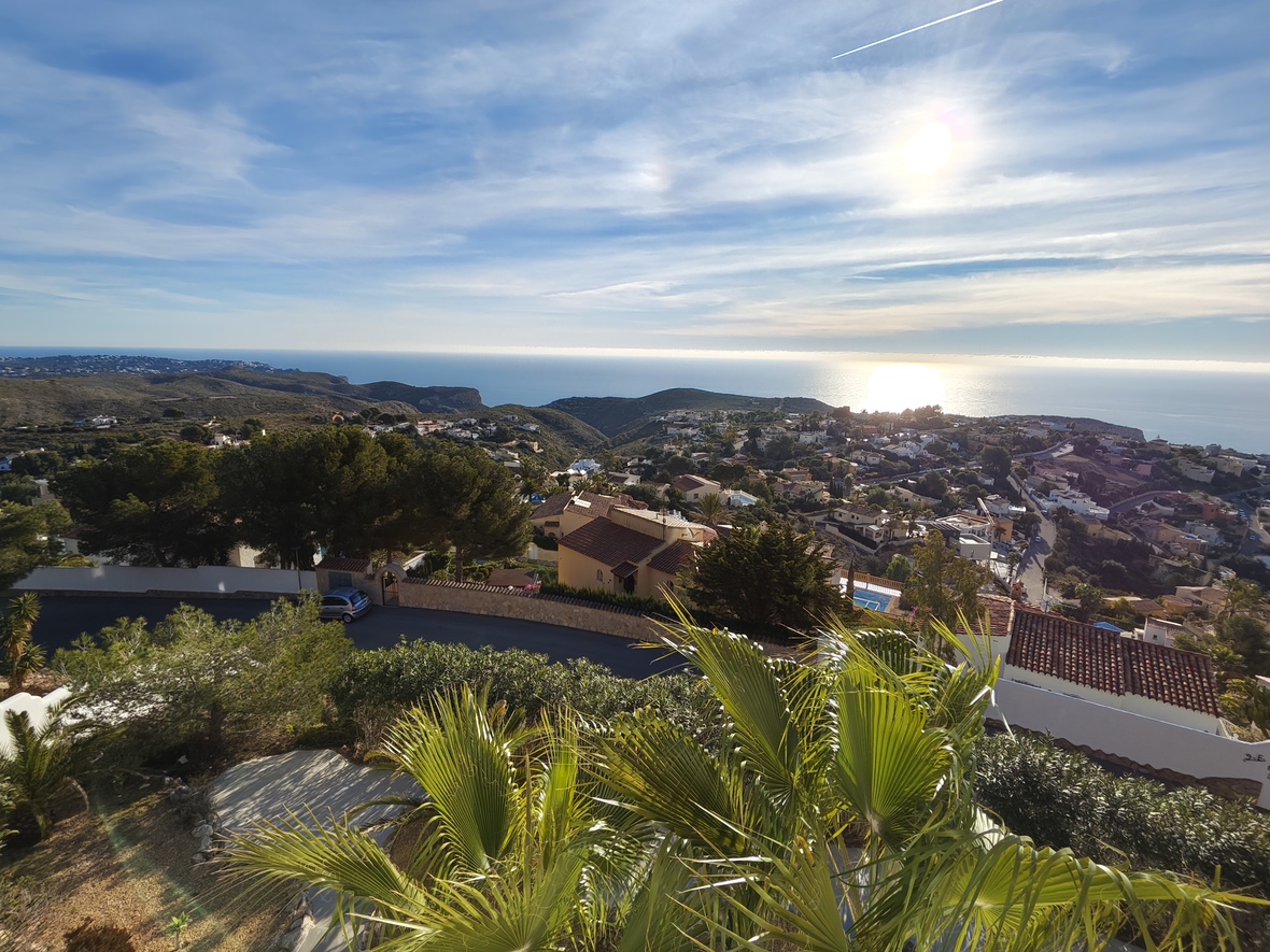 Elevated panoramic views over the Mediterranean Sea and coastal residential area, framed by lush palm trees and local greenery.