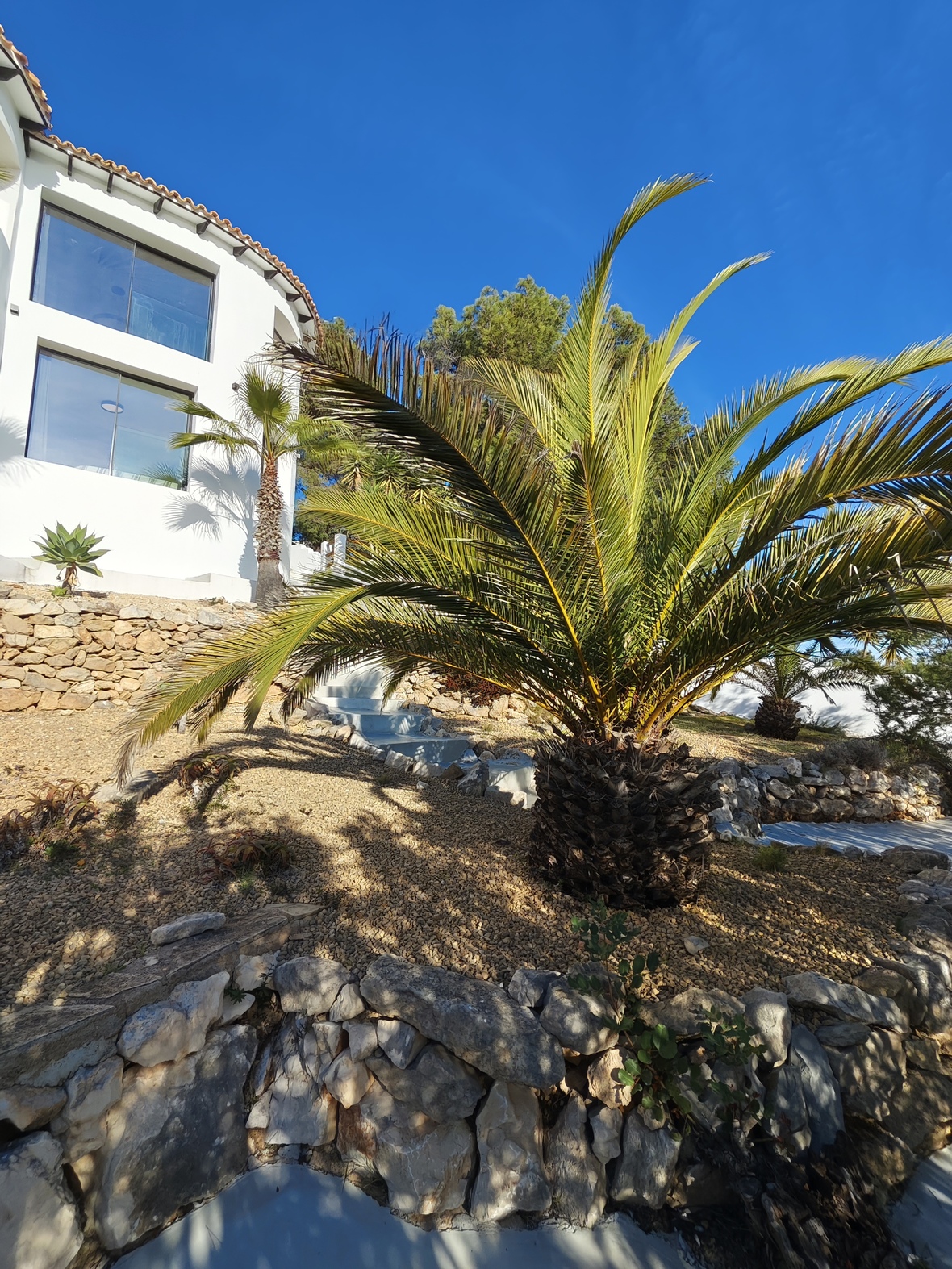 Landscaped Mediterranean garden featuring natural stone retaining walls, gravel pathways, and mature palm trees set against a white villa facade.