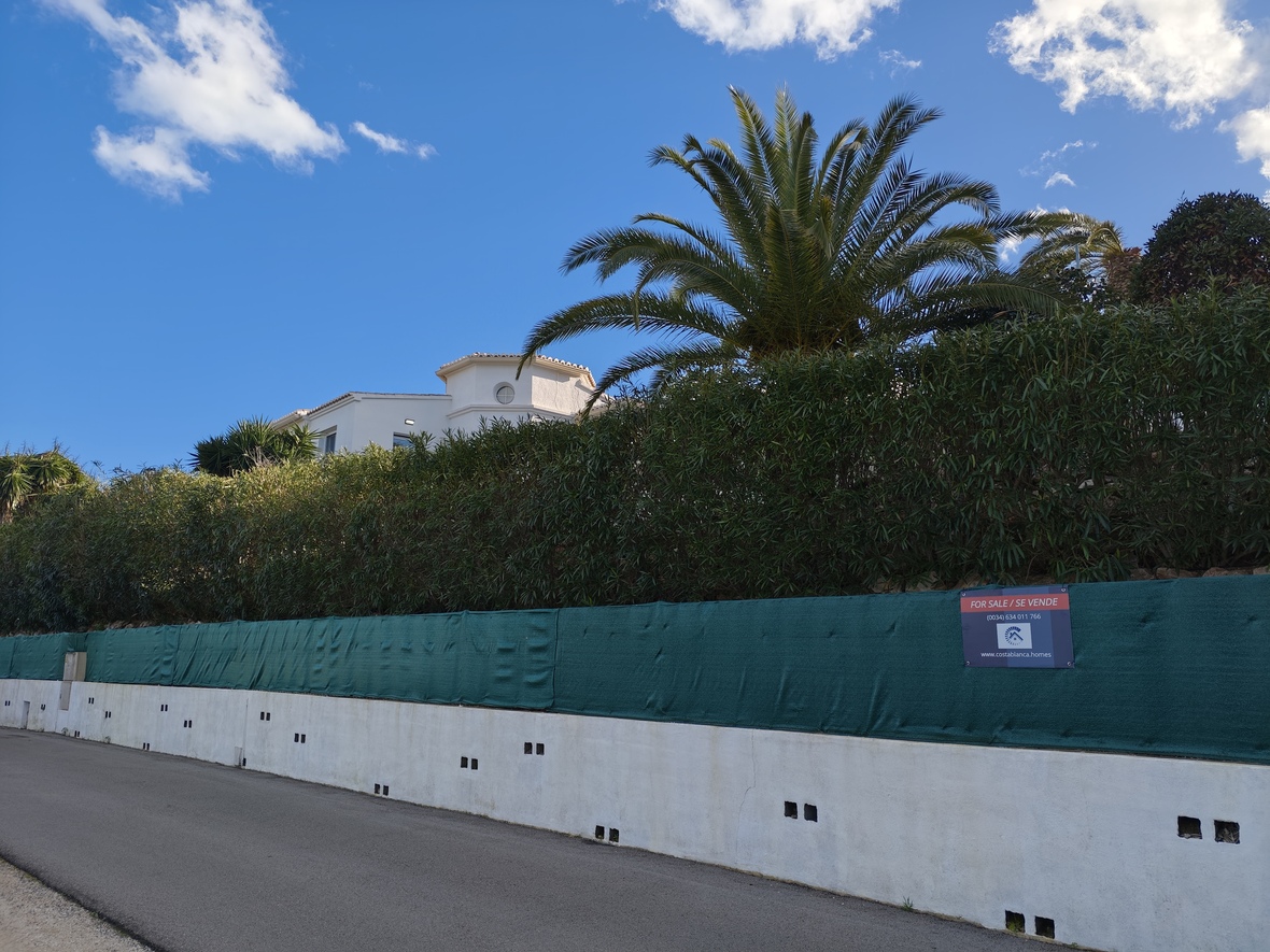 Exterior view of the property perimeter featuring a white retaining wall, green privacy screening, and a mature palm tree set against a clear blue sky.