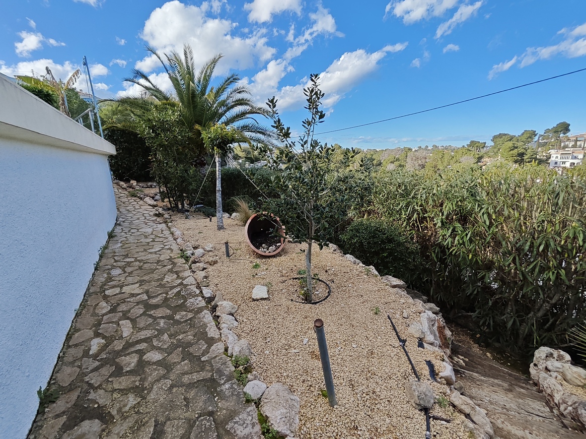 Stone-paved walkway bordering a Mediterranean garden with gravel beds, young olive trees, and palm trees against a clear blue sky.
