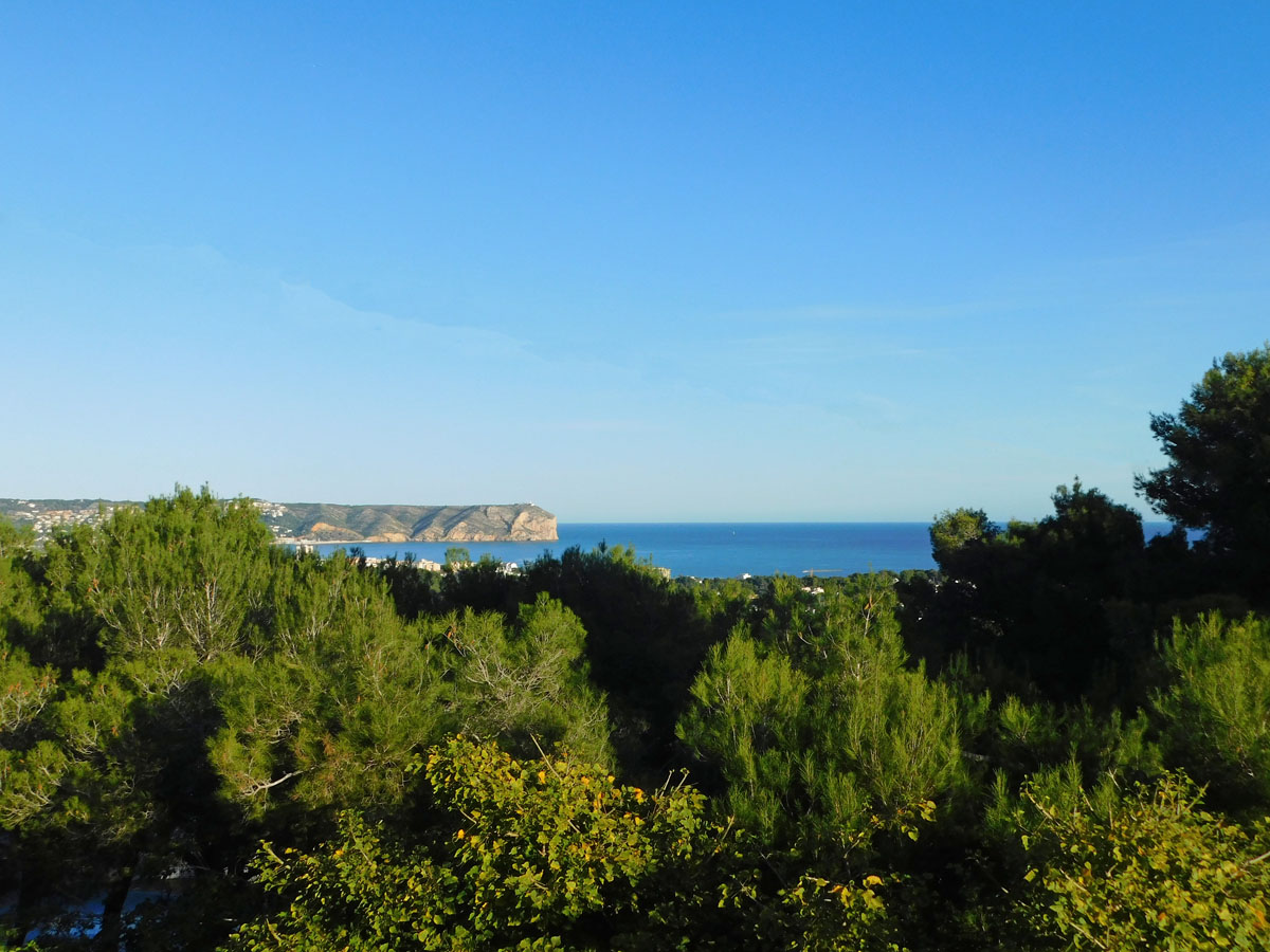 Panoramic views of the Mediterranean Sea and Cabo San Antonio headland across a lush pine forest canopy.